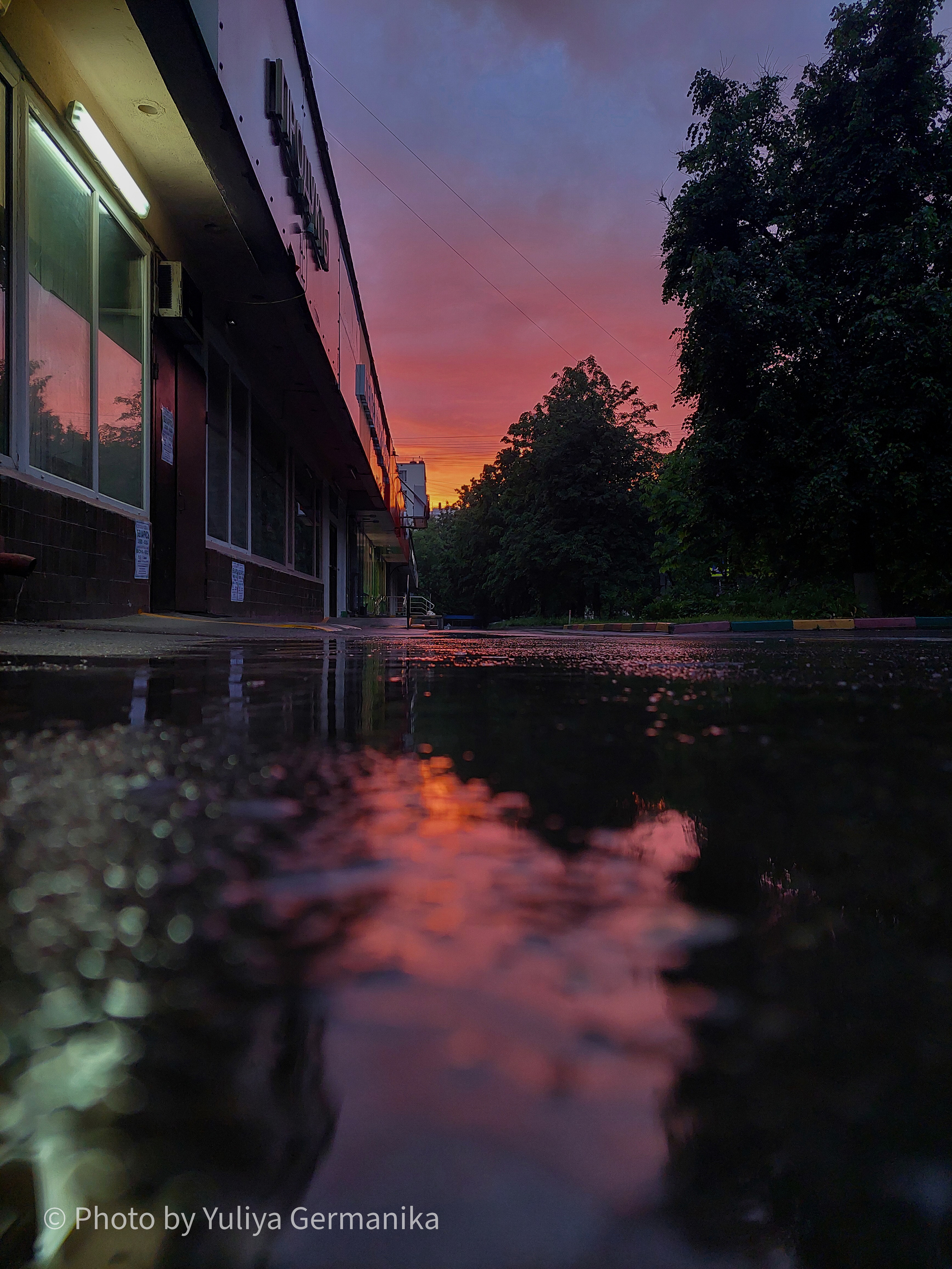 Разные фото на телефон.Города,природа. Фотограф-анималист Юлия Германика