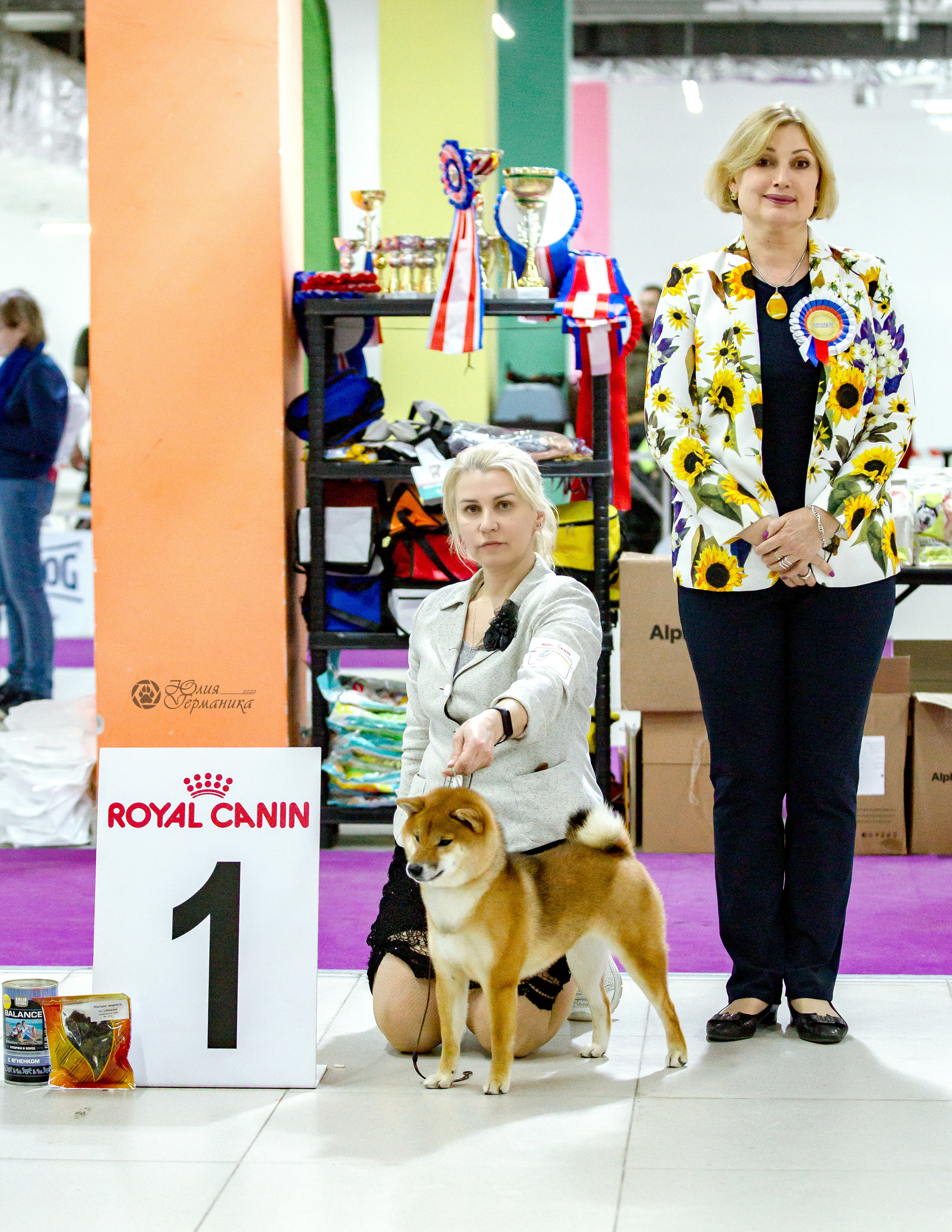 Чайна-Таун 16-17 апреля 2022. Фотограф-анималист Юлия Германика