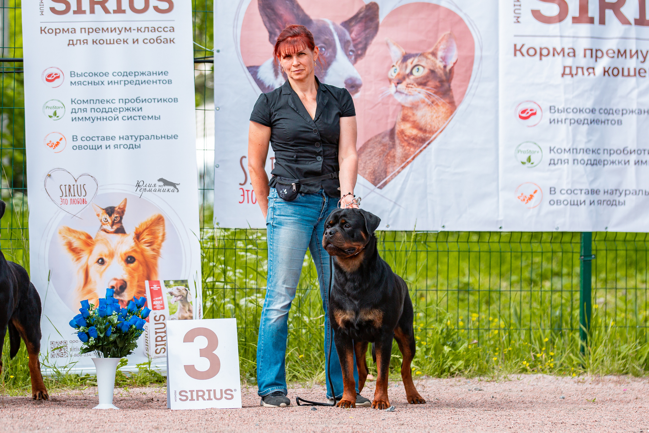 Смоленск 12.06,   Ховрино 13.06,    Питер 18.06 2022. Фотограф-анималист Юлия Германика