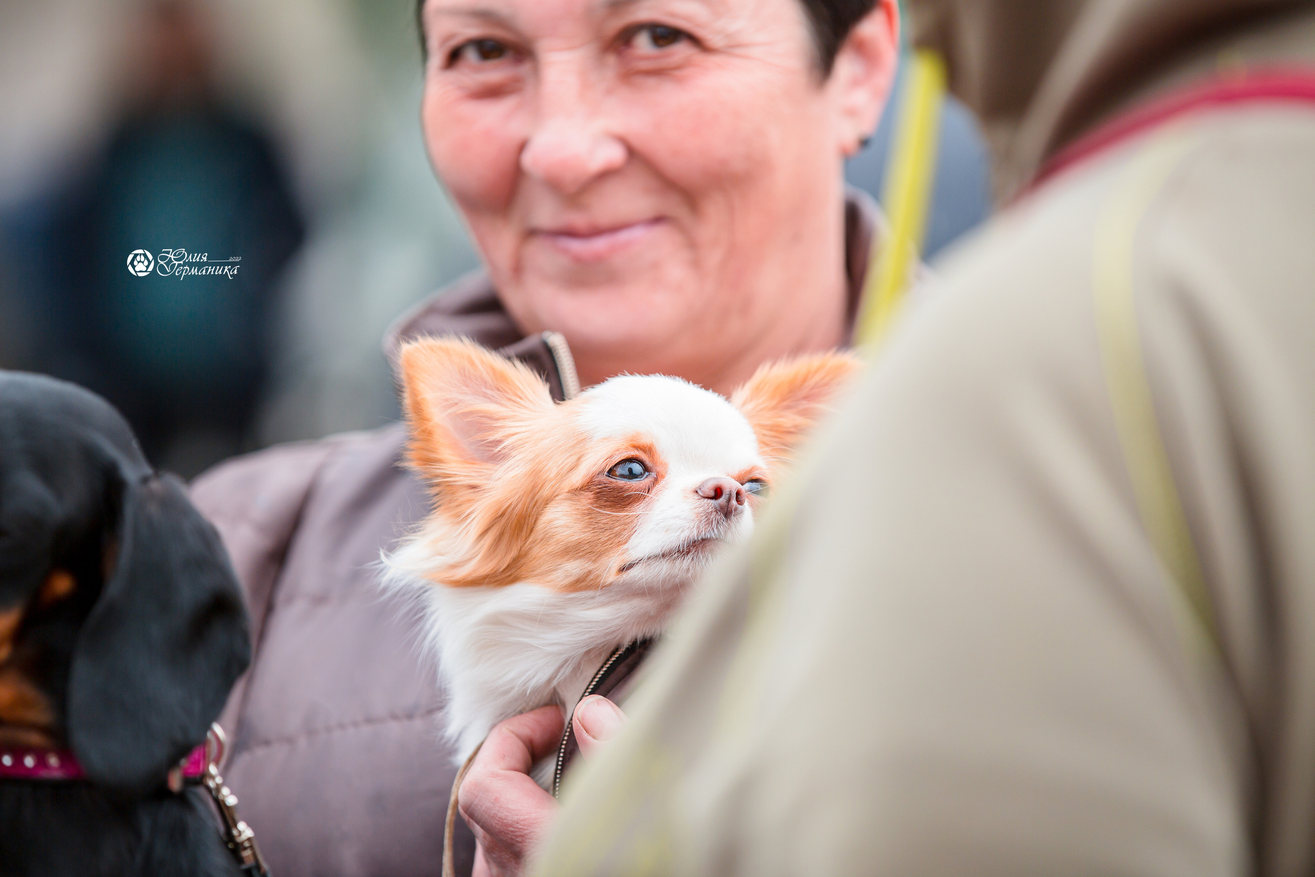 Александров 2хСАС 8 мая 2022. Фотограф-анималист Юлия Германика