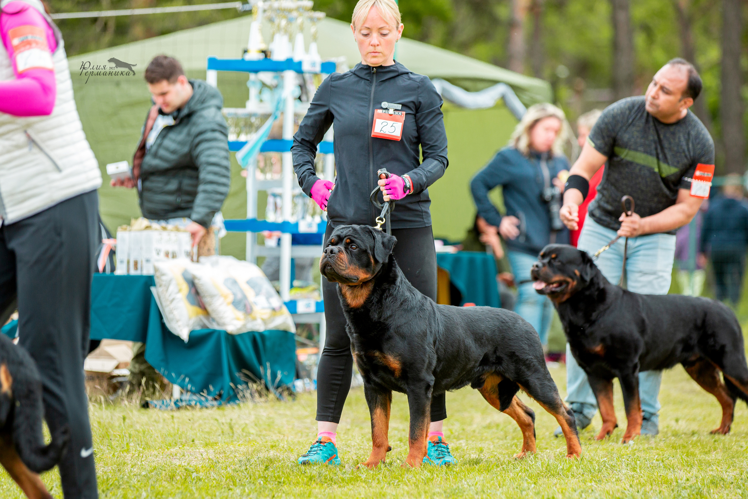Воронеж моно ротвейлеров 28-29 мая 2022. Фотограф-анималист Юлия Германика