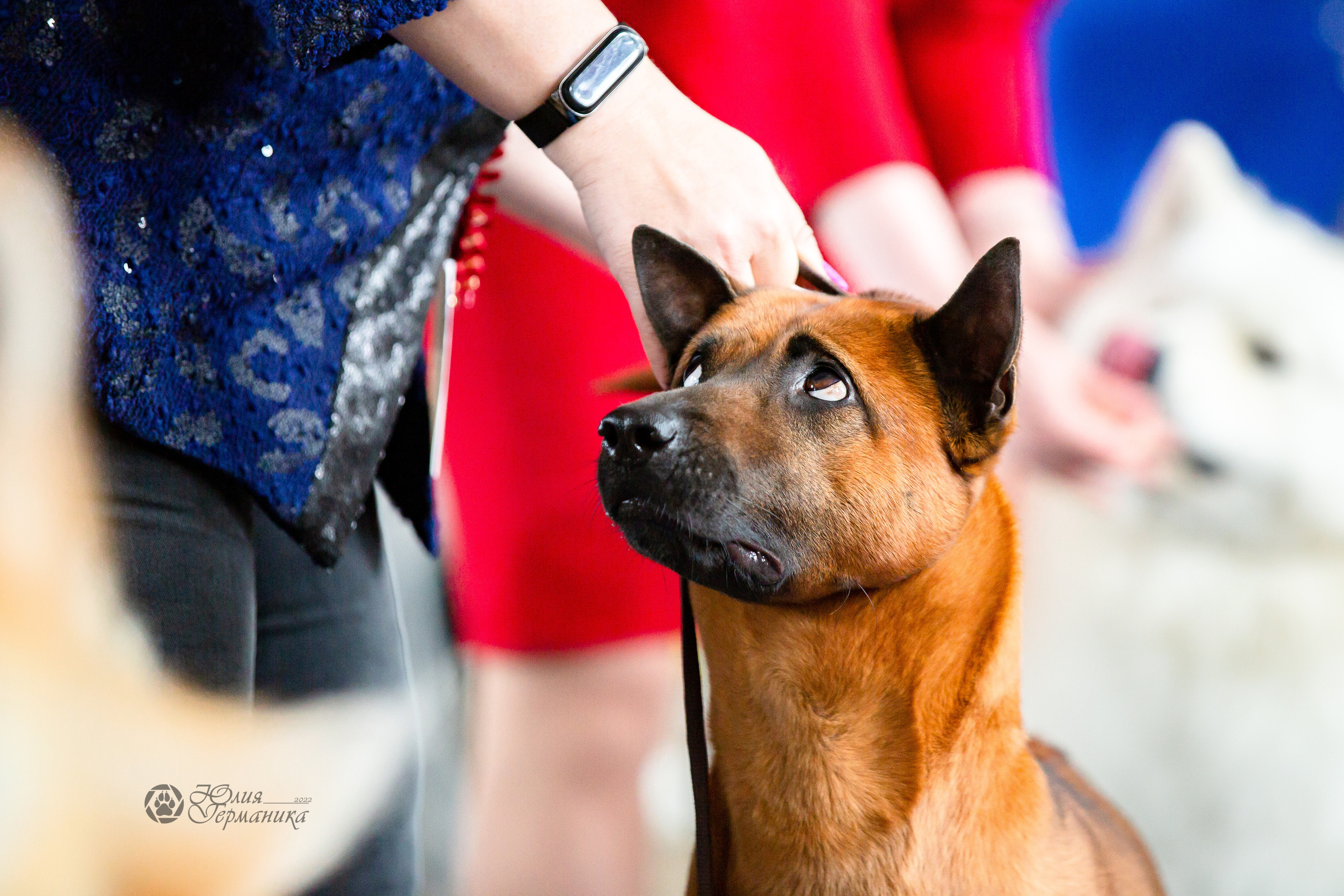 Сергиев Посад 23.04.2022. Фотограф-анималист Юлия Германика