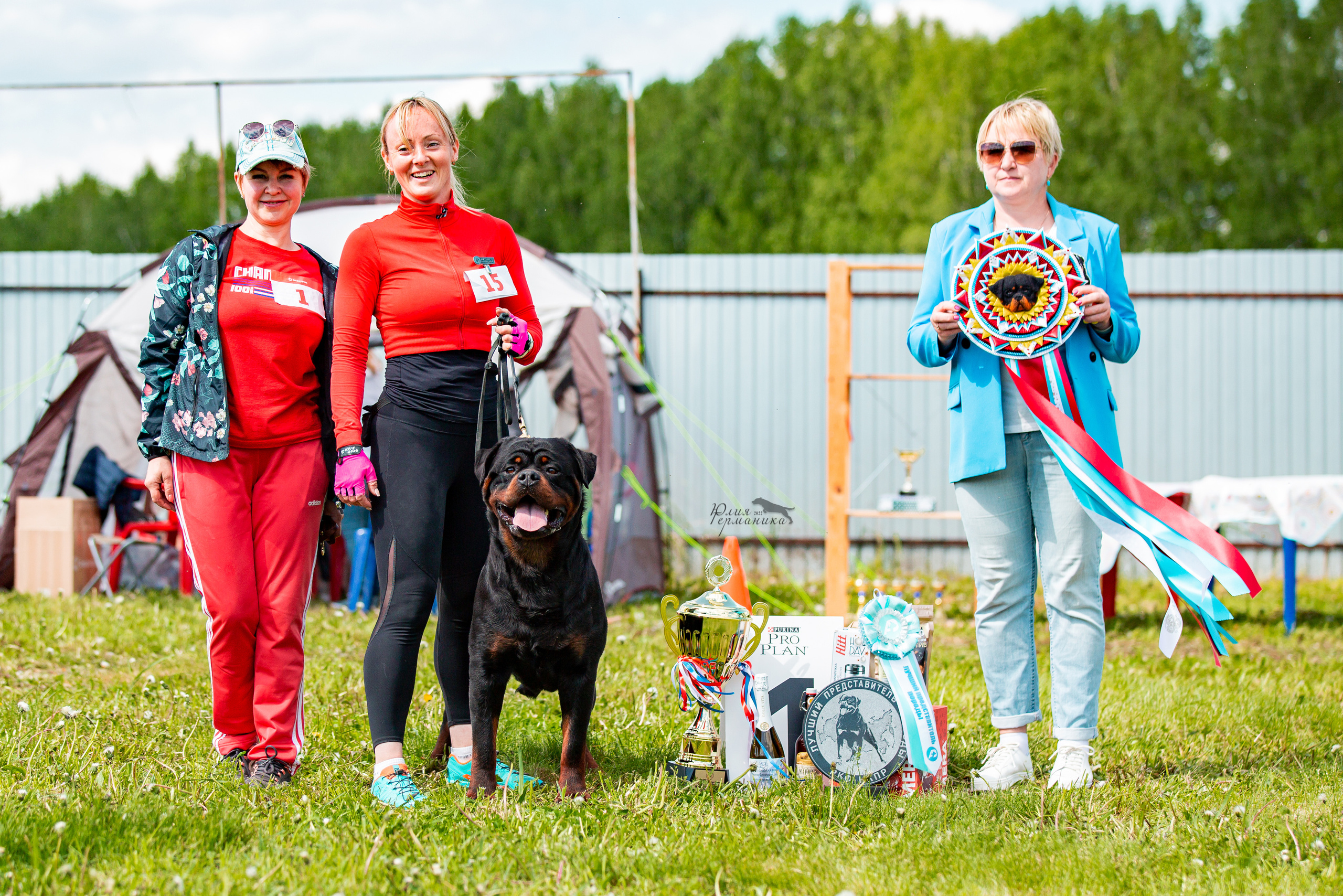Нижний Новгород моно ротвейлеров 4 июня 2022. Фотограф-анималист Юлия Германика