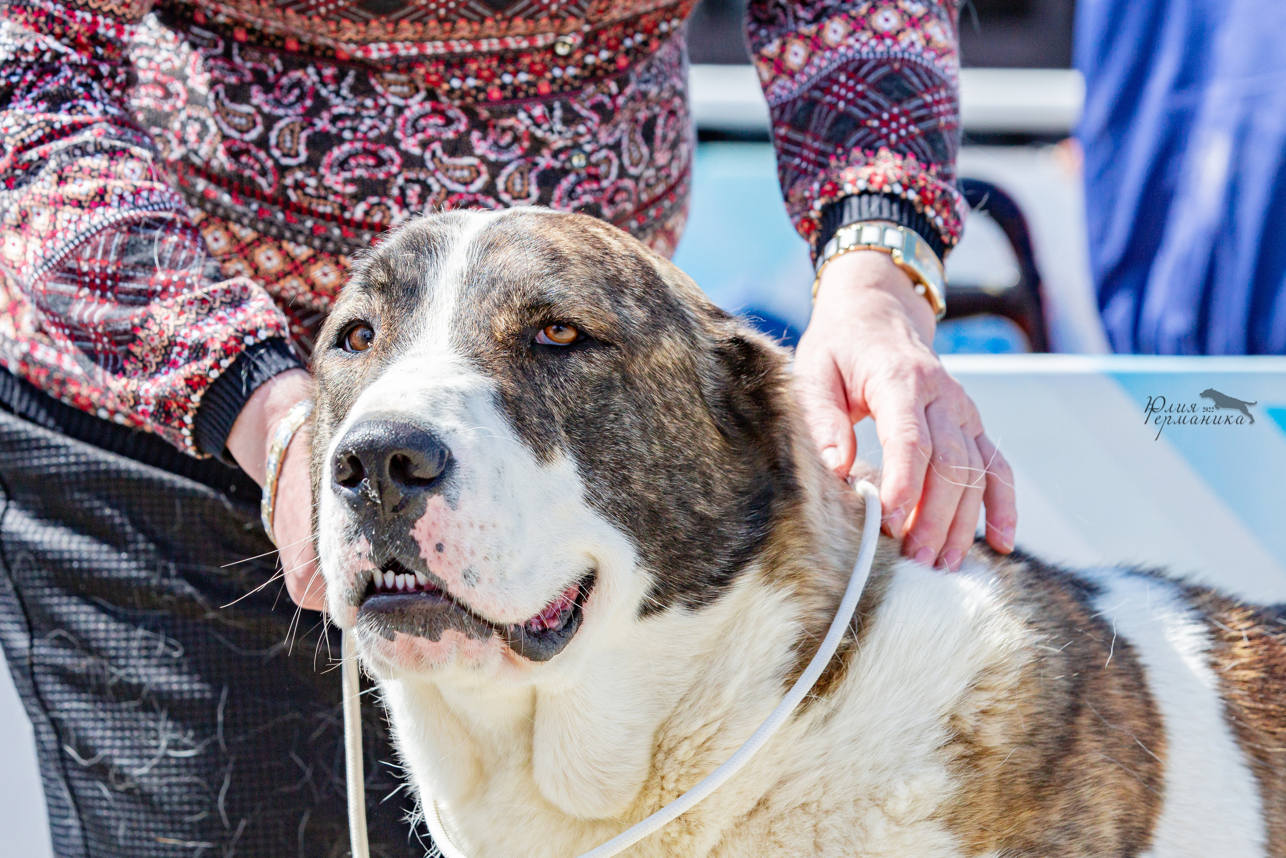 Евразия 21-22 мая 2022. Фотограф-анималист Юлия Германика