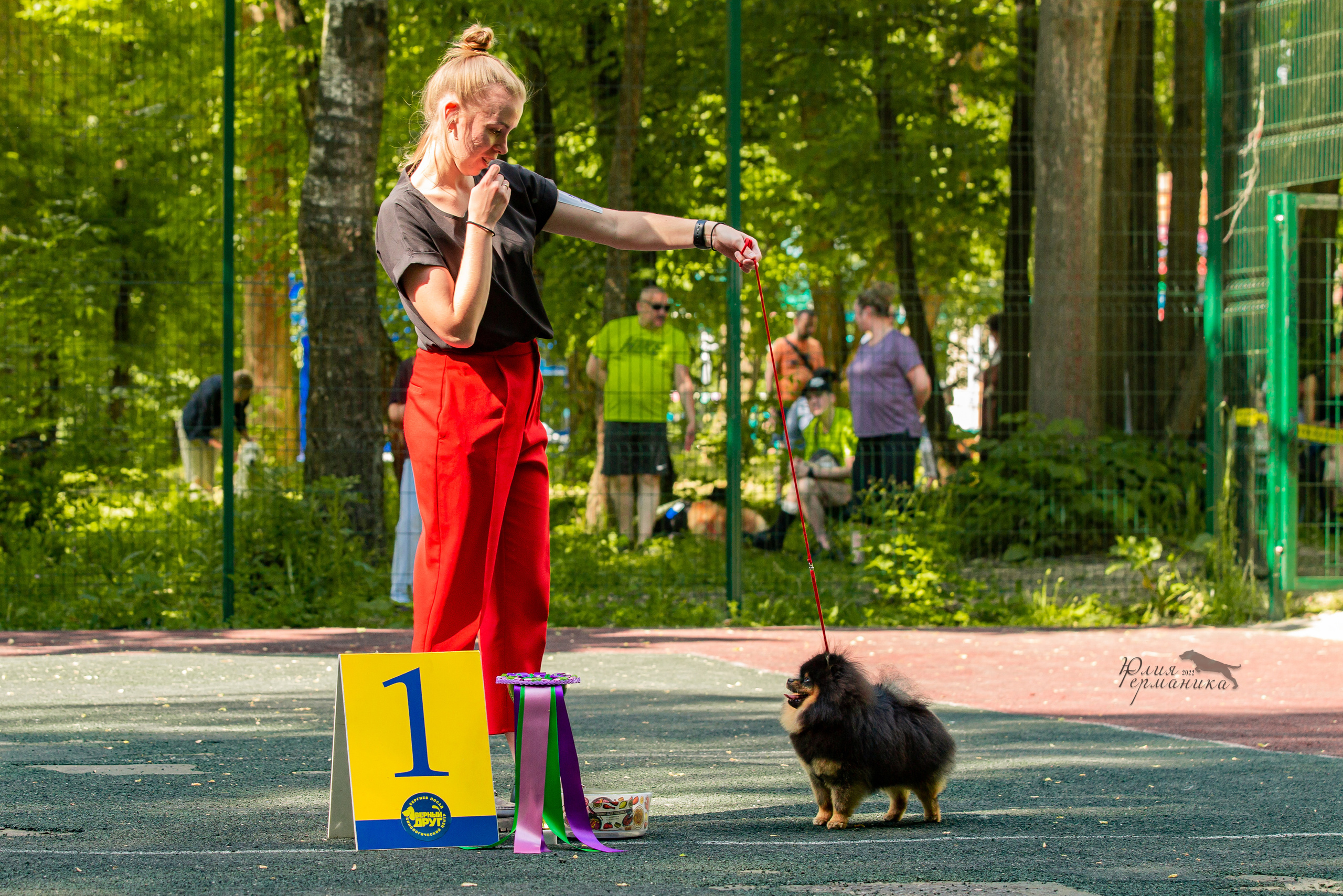 Сергиев Посад 2хСАС 25.06.2022. Фотограф-анималист Юлия Германика