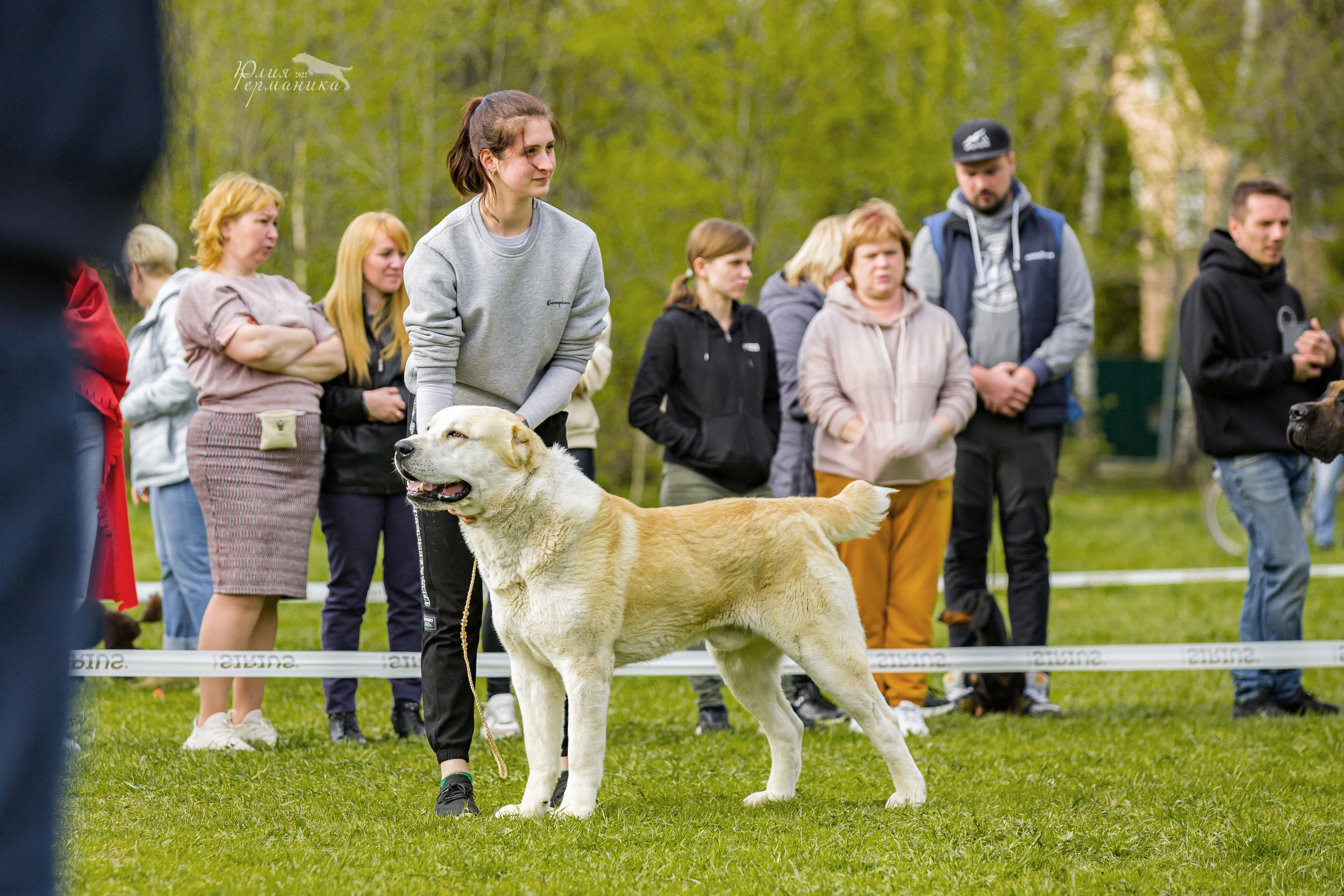 Пушкино 2хЧРКФ 14 мая 2022. Фотограф-анималист Юлия Германика