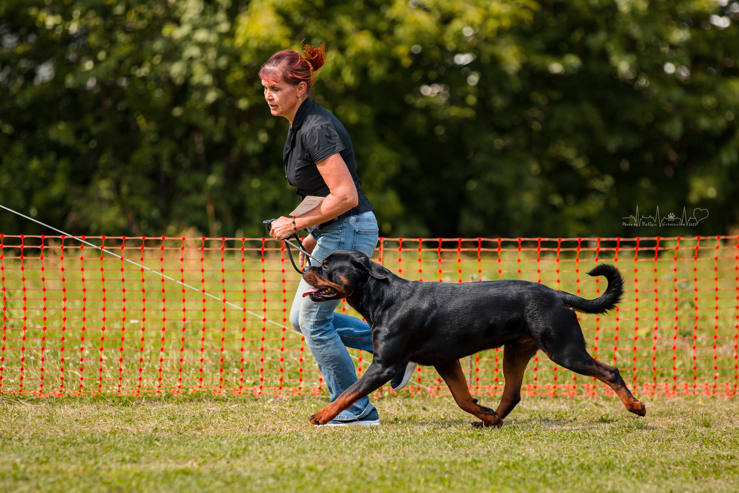 Санкт-Петербург моно ротвейлеров 23.07.2022. Фотограф-анималист Юлия Германика