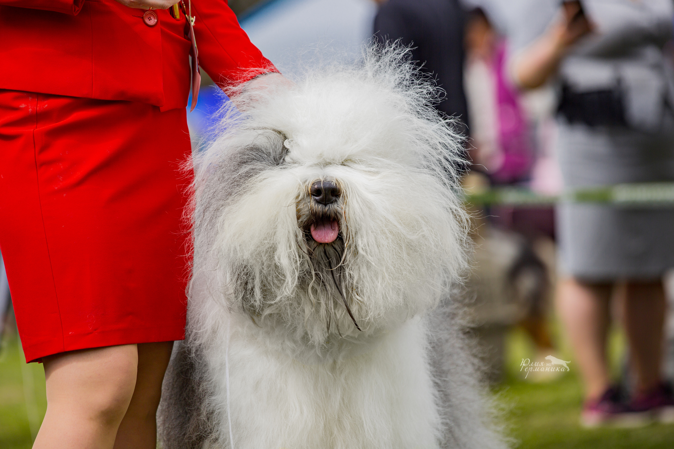 Пушкино 2хЧРКФ 14 мая 2022. Фотограф-анималист Юлия Германика