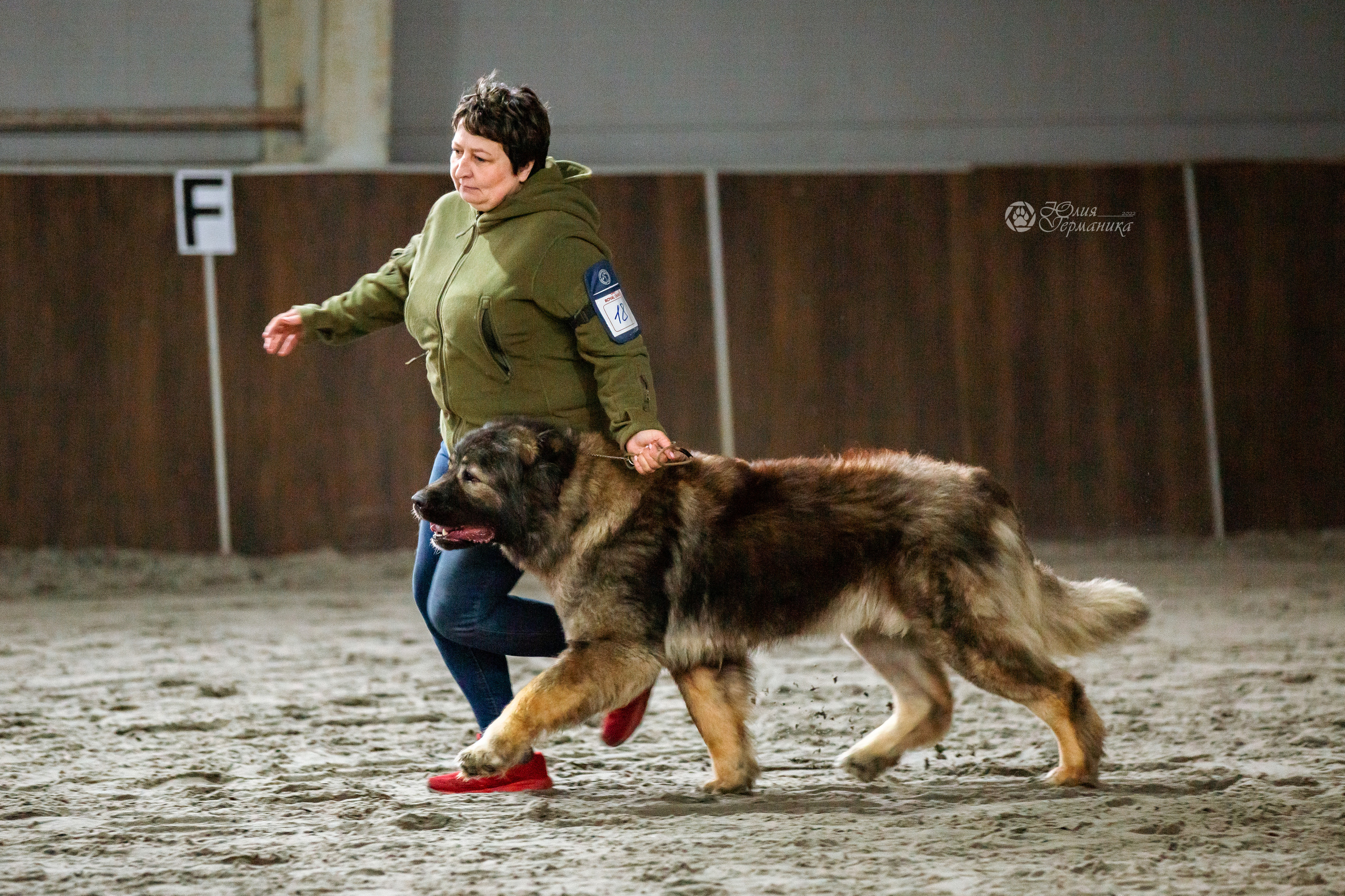 Националка САО+КЧК 24 апреля 2022. Фотограф-анималист Юлия Германика