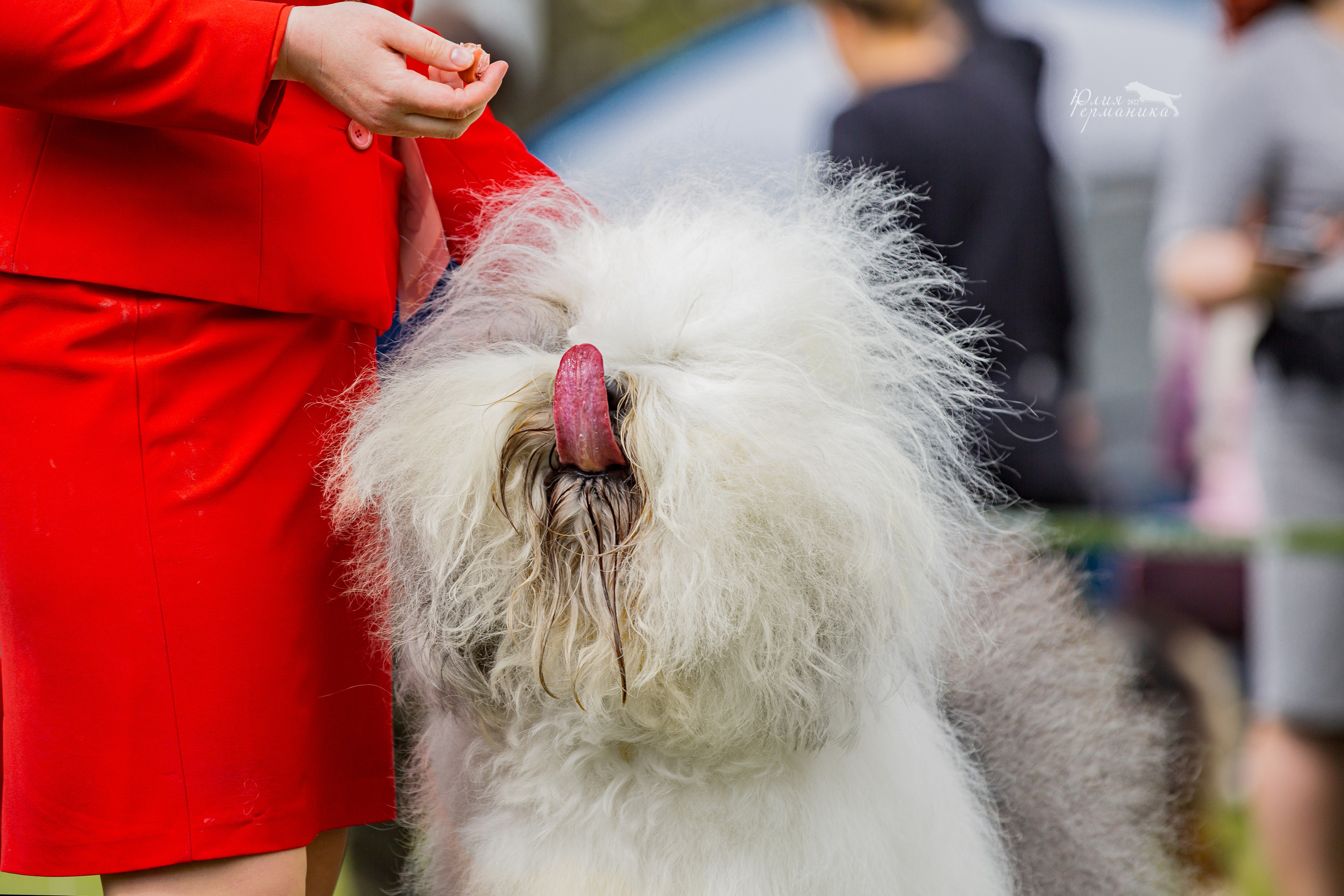 Пушкино 2хЧРКФ 14 мая 2022. Фотограф-анималист Юлия Германика