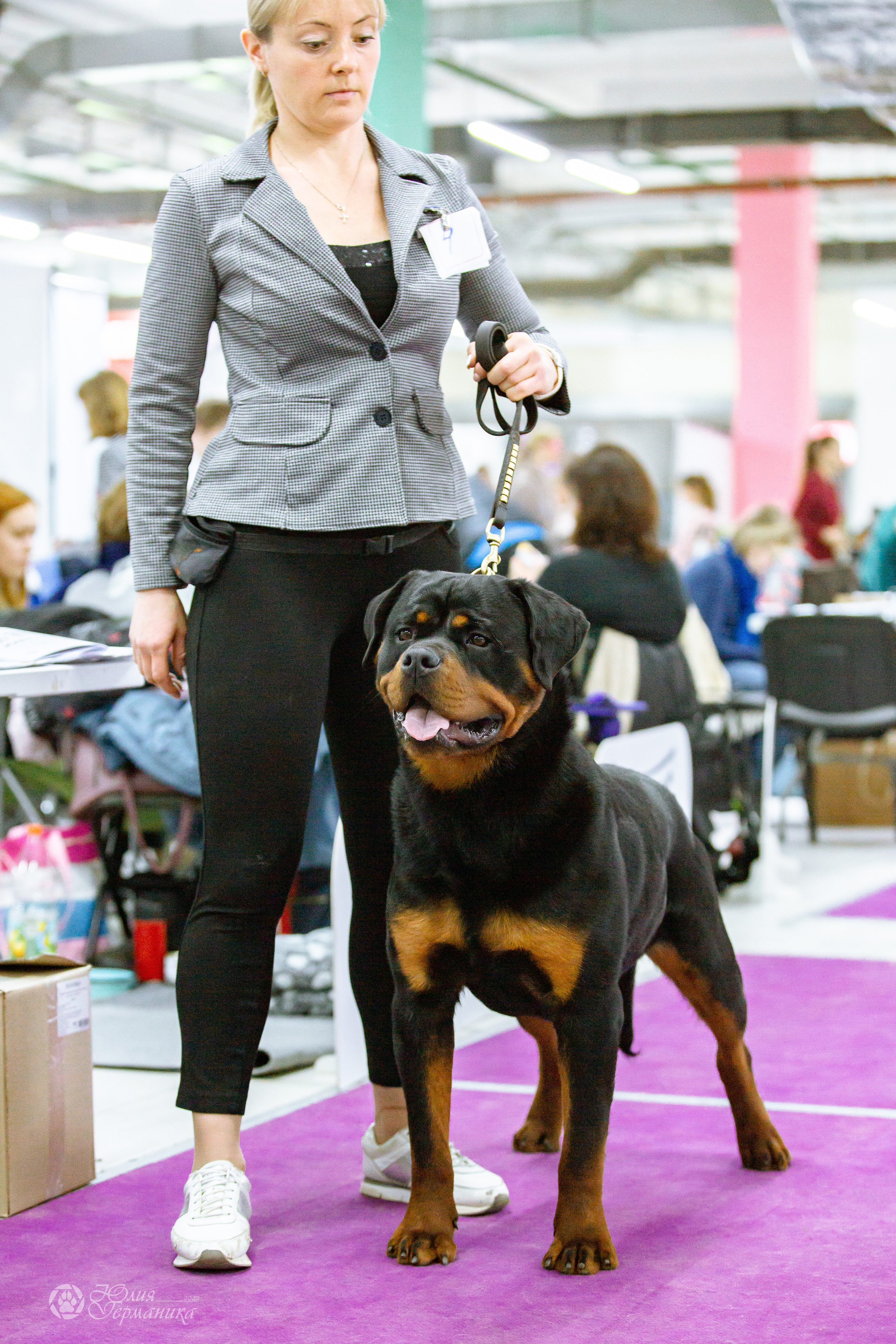 Чайна-Таун 16-17 апреля 2022. Фотограф-анималист Юлия Германика