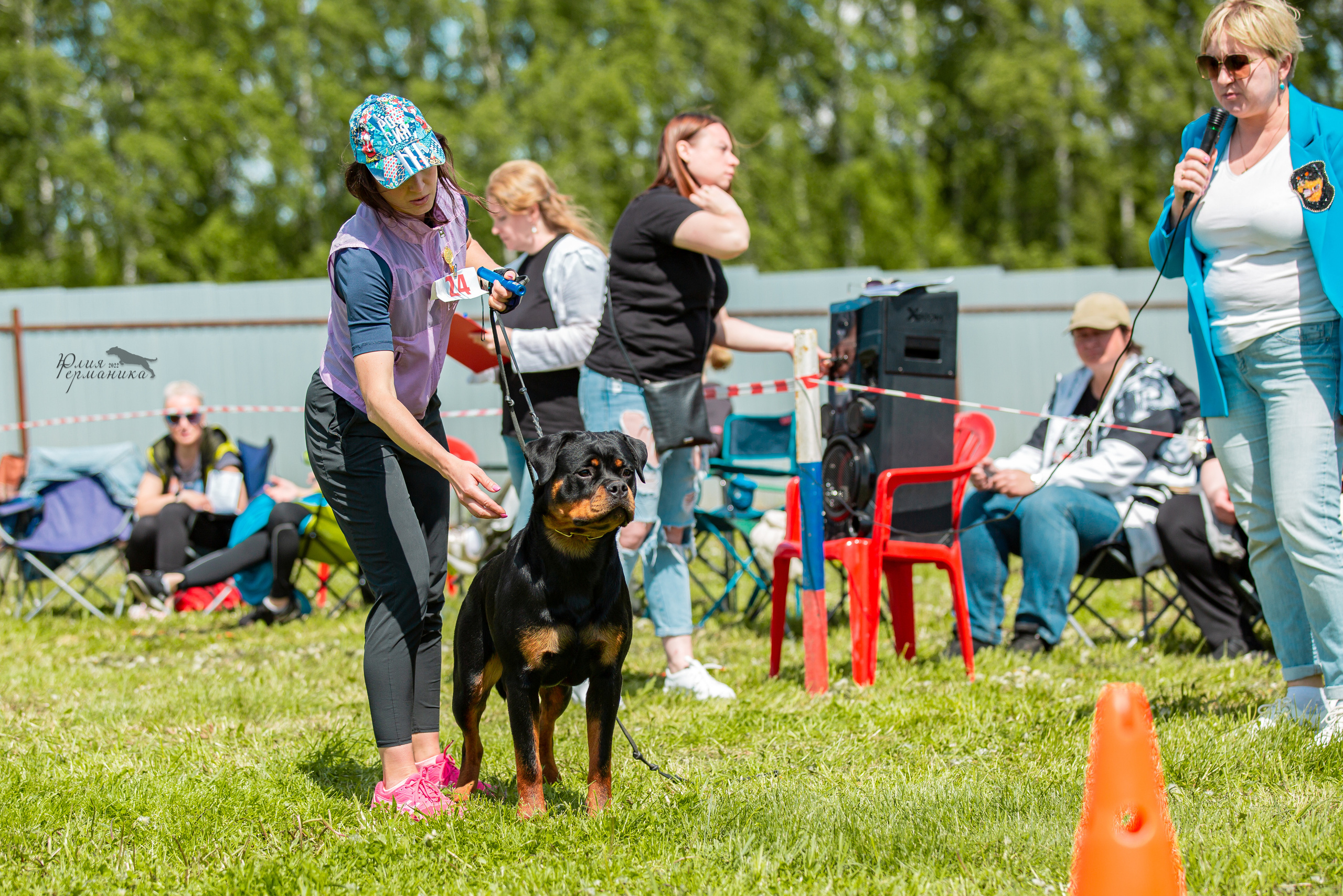 Нижний Новгород моно ротвейлеров 4 июня 2022. Фотограф-анималист Юлия Германика