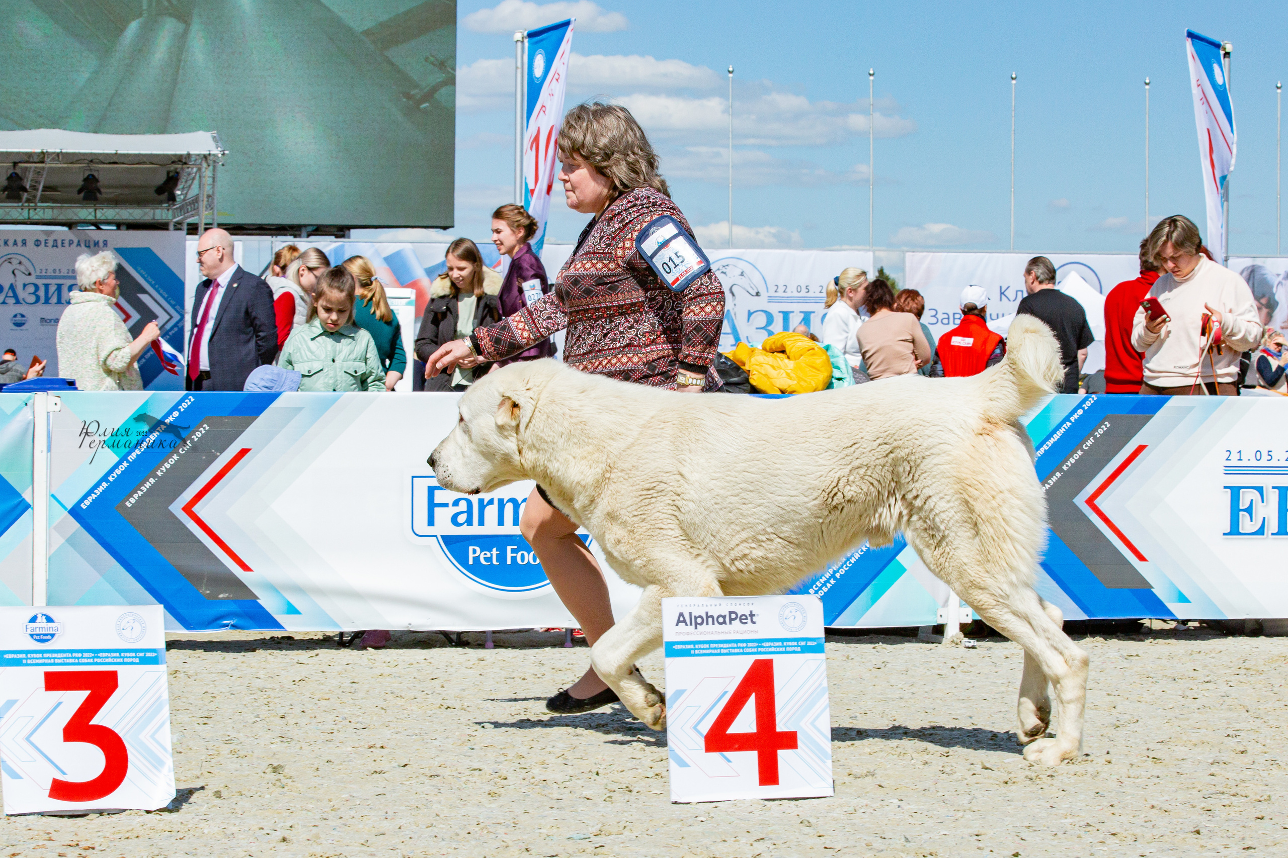 Евразия 21-22 мая 2022. Фотограф-анималист Юлия Германика