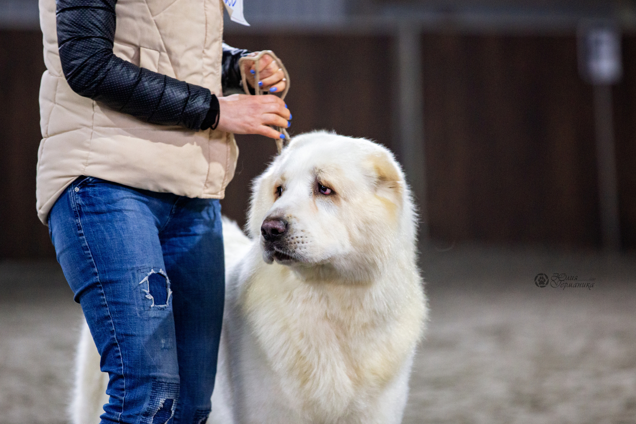 Националка САО+КЧК 24 апреля 2022. Фотограф-анималист Юлия Германика