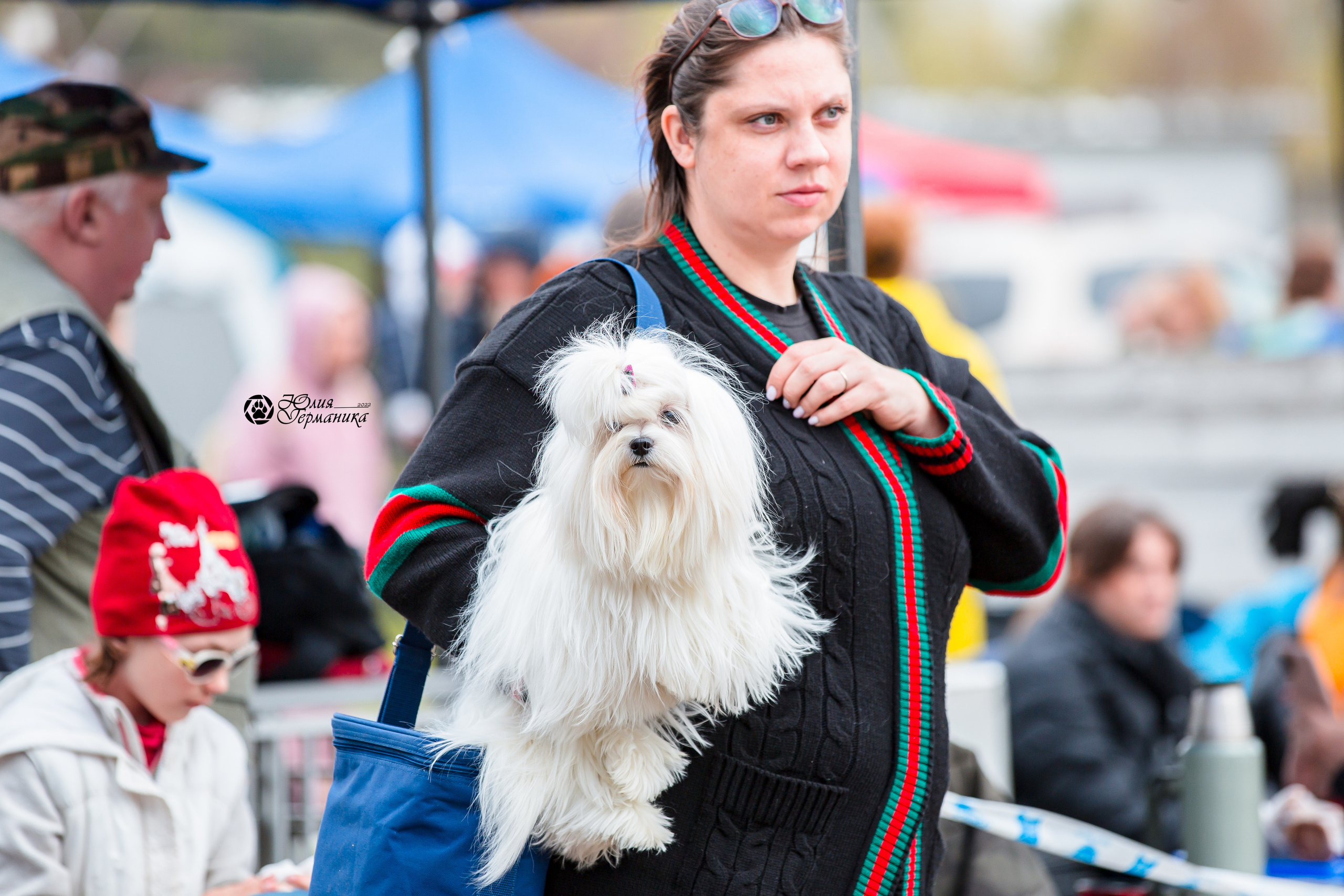 Александров 2хСАС 8 мая 2022. Фотограф-анималист Юлия Германика