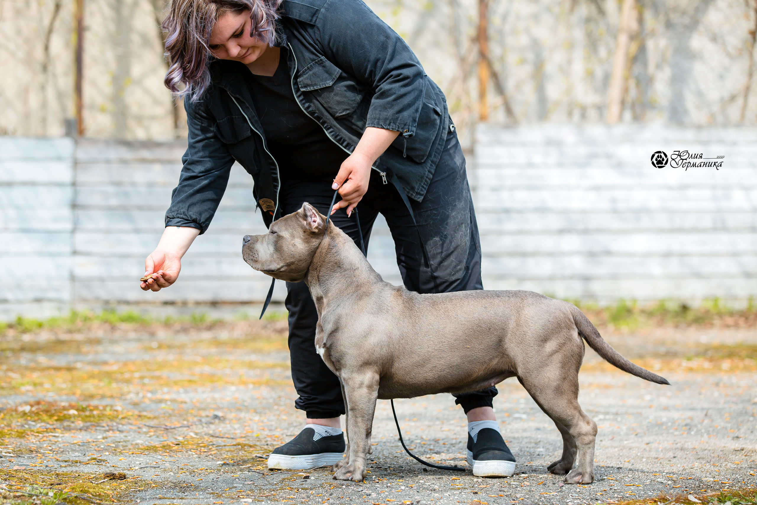 Александров 2хСАС 8 мая 2022. Фотограф-анималист Юлия Германика