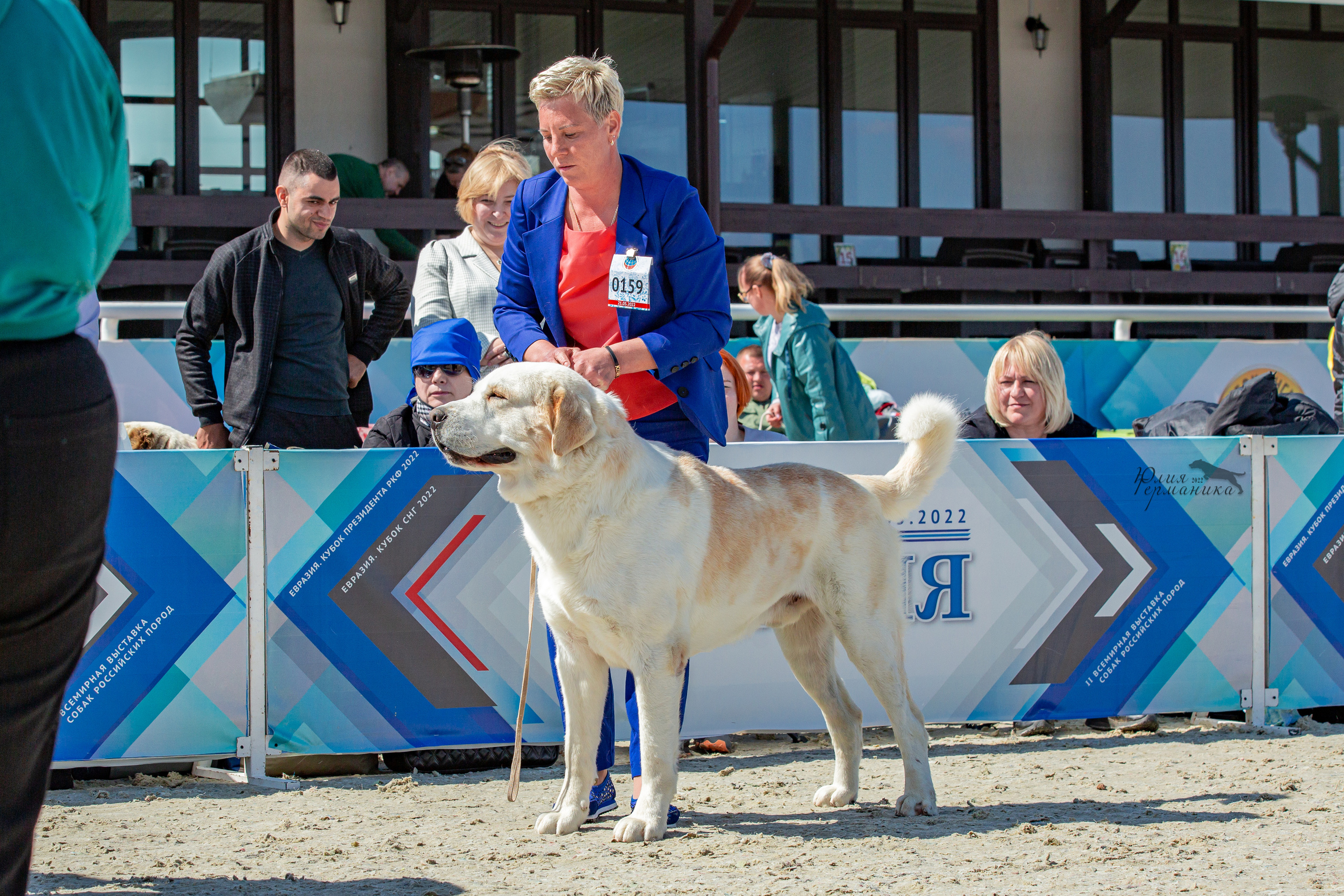 Евразия 21-22 мая 2022. Фотограф-анималист Юлия Германика