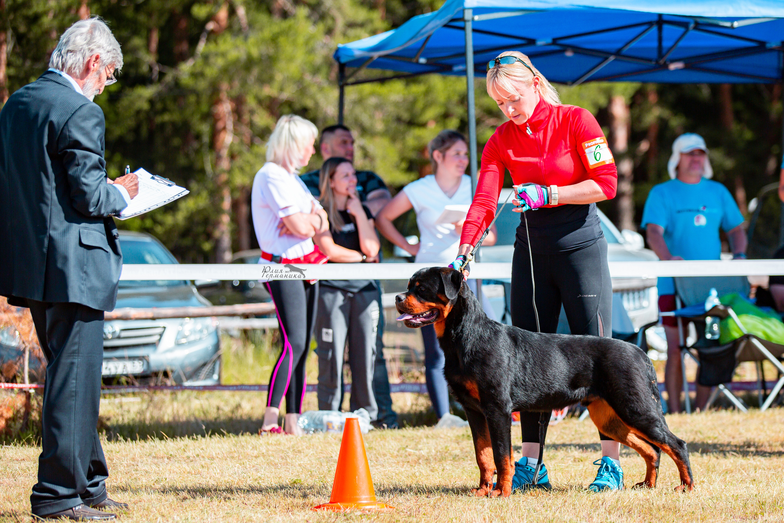 Тверь моно ротвейлеров 2-3.07.2022. Фотограф-анималист Юлия Германика