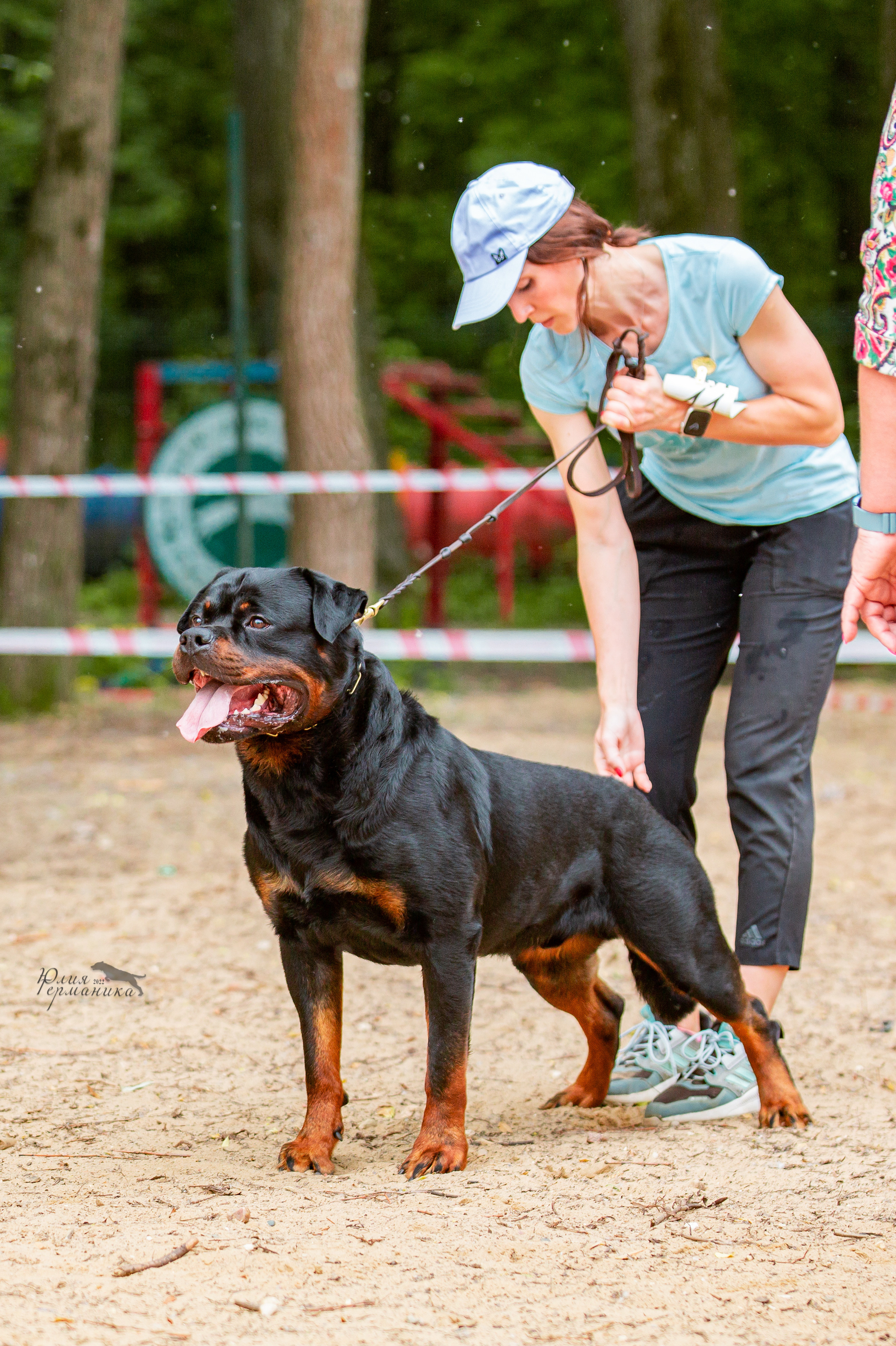 Смоленск 12.06,   Ховрино 13.06,    Питер 18.06 2022. Фотограф-анималист Юлия Германика
