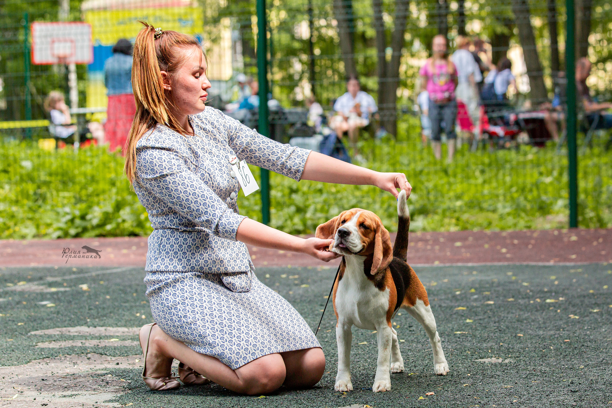 Сергиев Посад 2хСАС 25.06.2022. Фотограф-анималист Юлия Германика