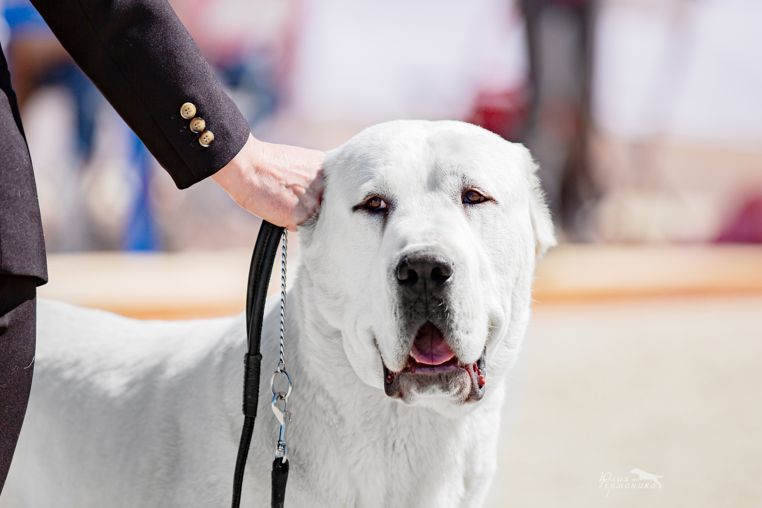 Евразия 21-22 мая 2022. Фотограф-анималист Юлия Германика