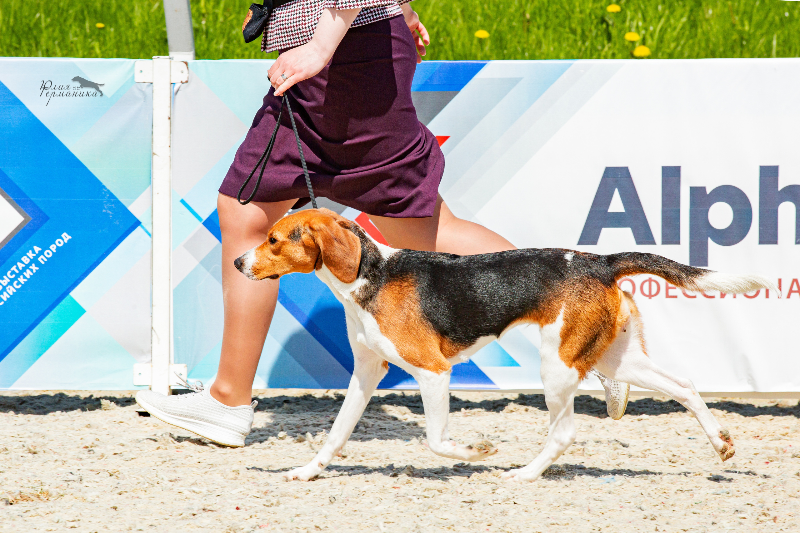 Евразия 21-22 мая 2022. Фотограф-анималист Юлия Германика