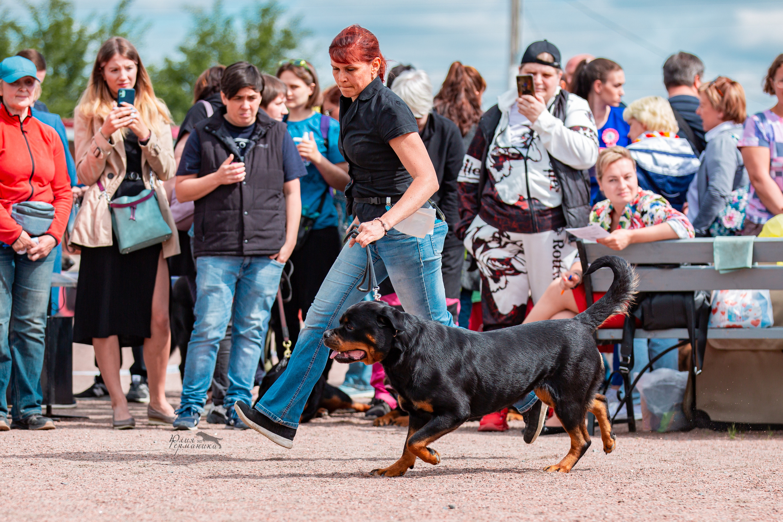 Смоленск 12.06,   Ховрино 13.06,    Питер 18.06 2022. Фотограф-анималист Юлия Германика