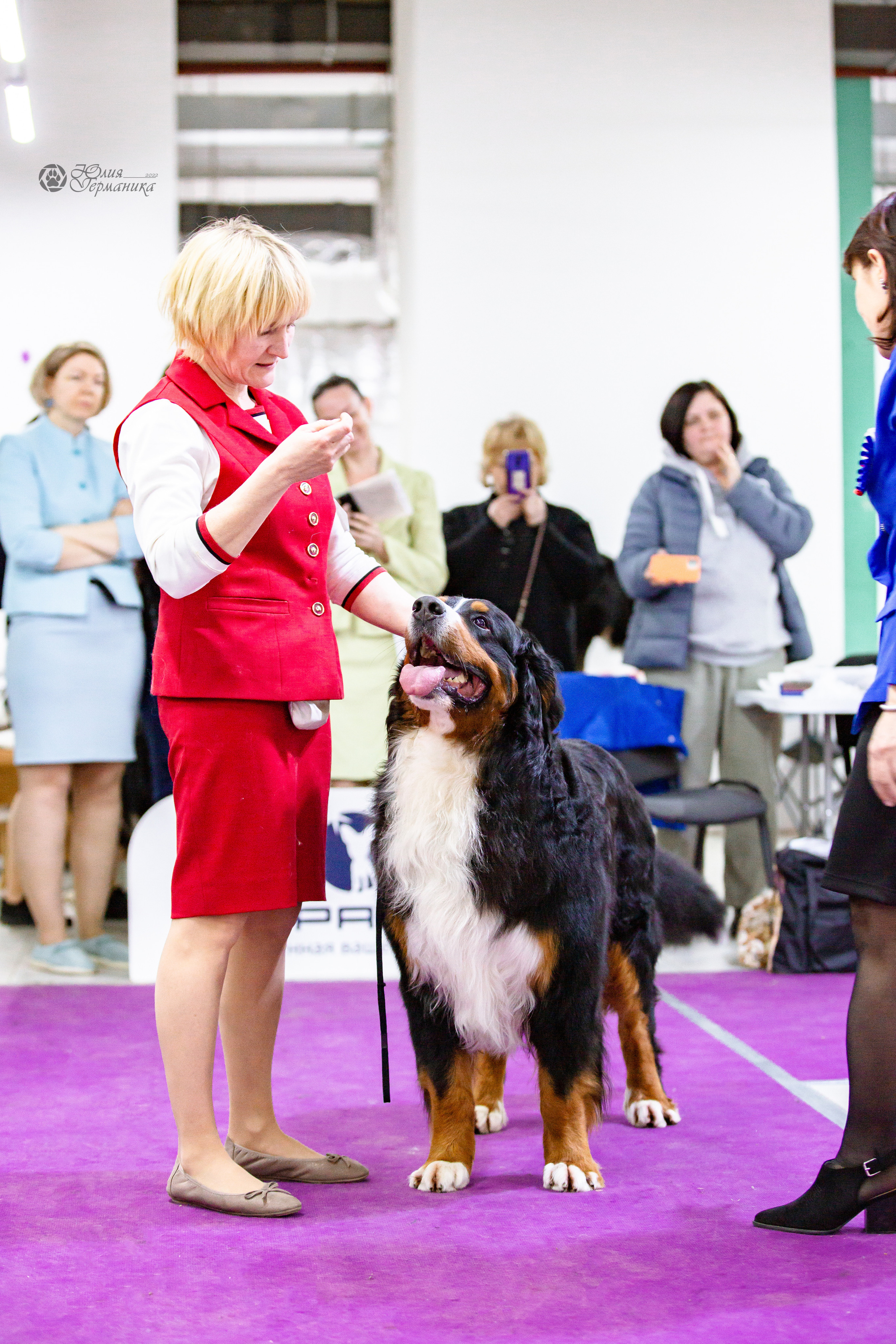 Чайна-Таун 16-17 апреля 2022. Фотограф-анималист Юлия Германика