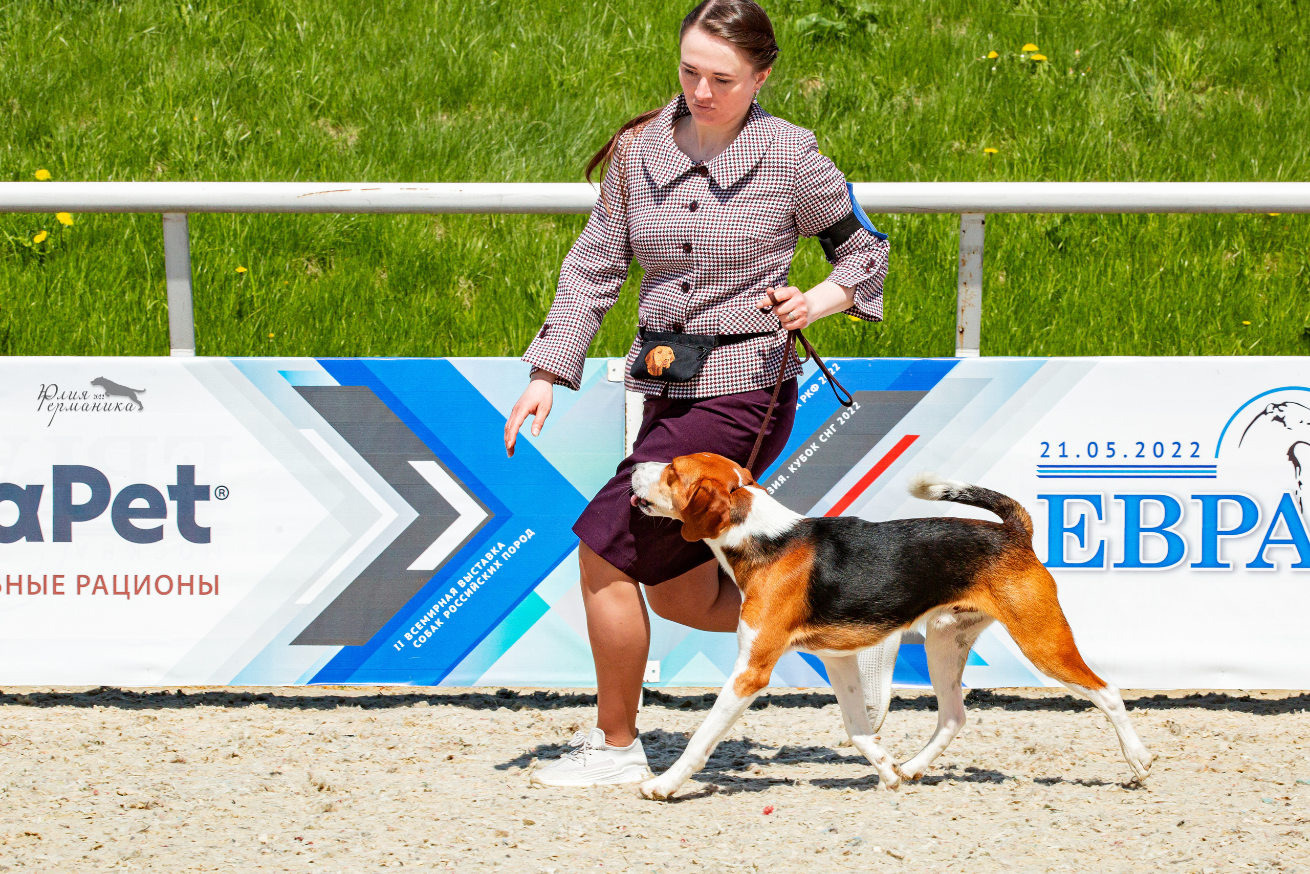 Евразия 21-22 мая 2022. Фотограф-анималист Юлия Германика