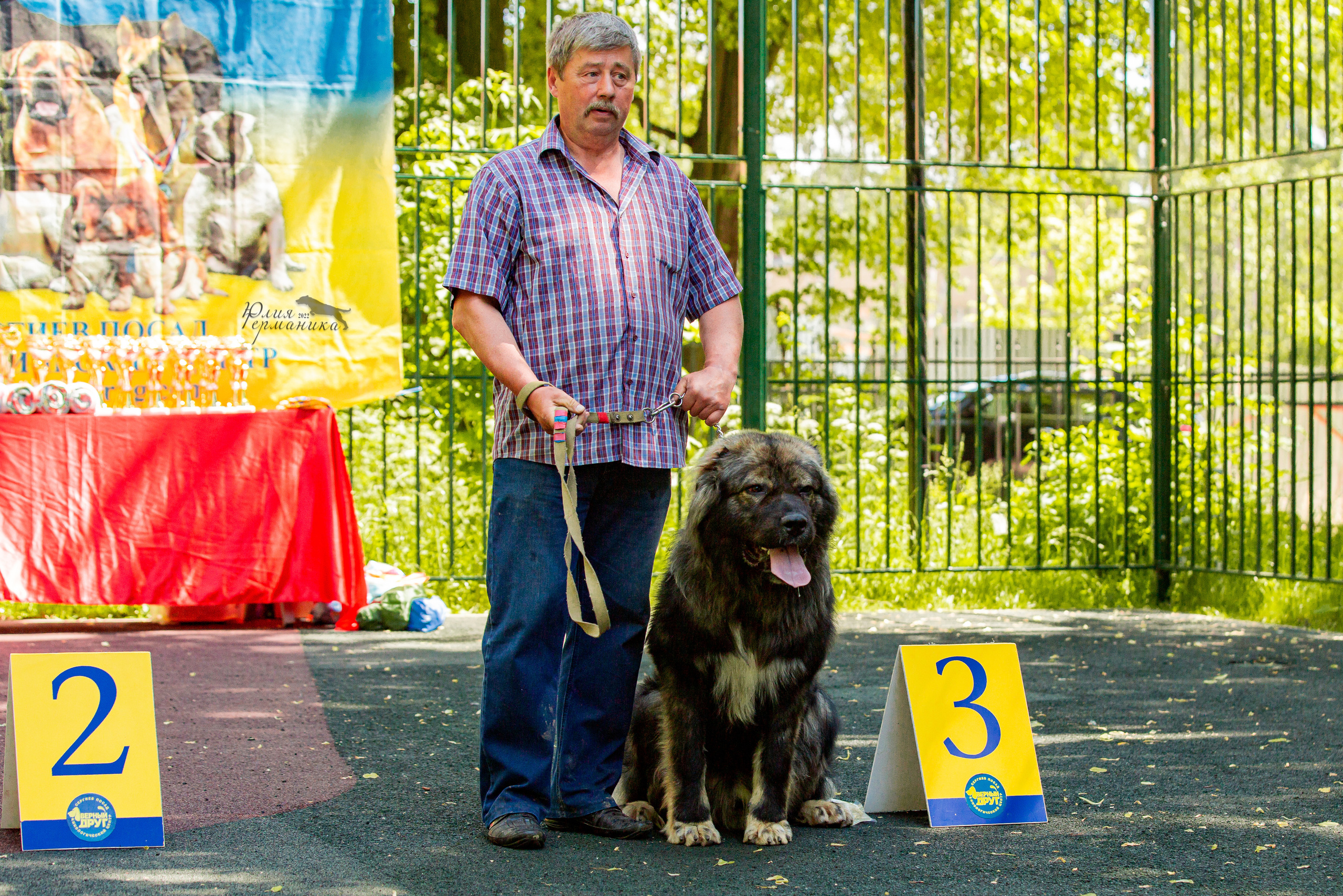 Сергиев Посад 2хСАС 25.06.2022. Фотограф-анималист Юлия Германика