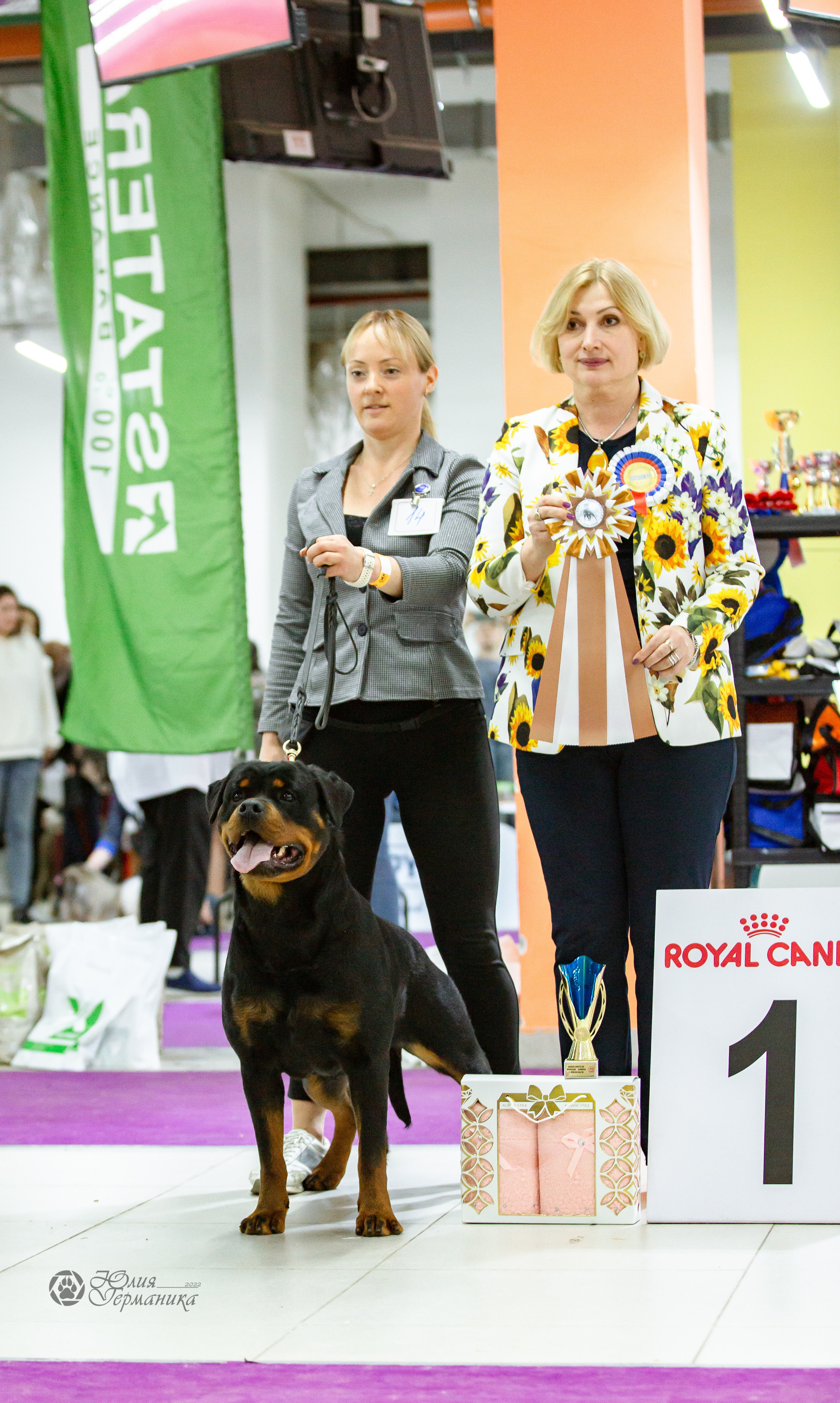 Чайна-Таун 16-17 апреля 2022. Фотограф-анималист Юлия Германика