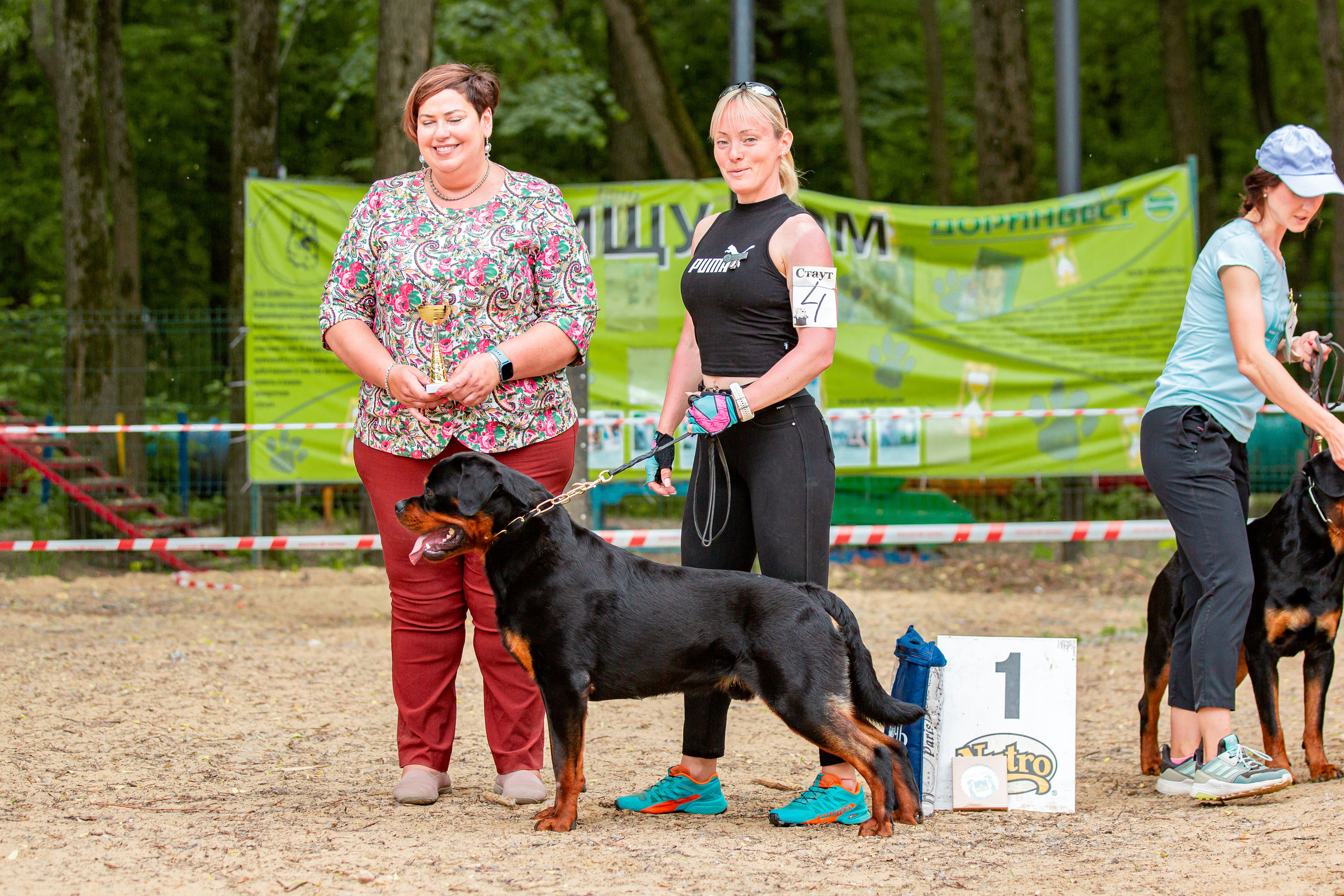Смоленск 12.06,   Ховрино 13.06,    Питер 18.06 2022. Фотограф-анималист Юлия Германика
