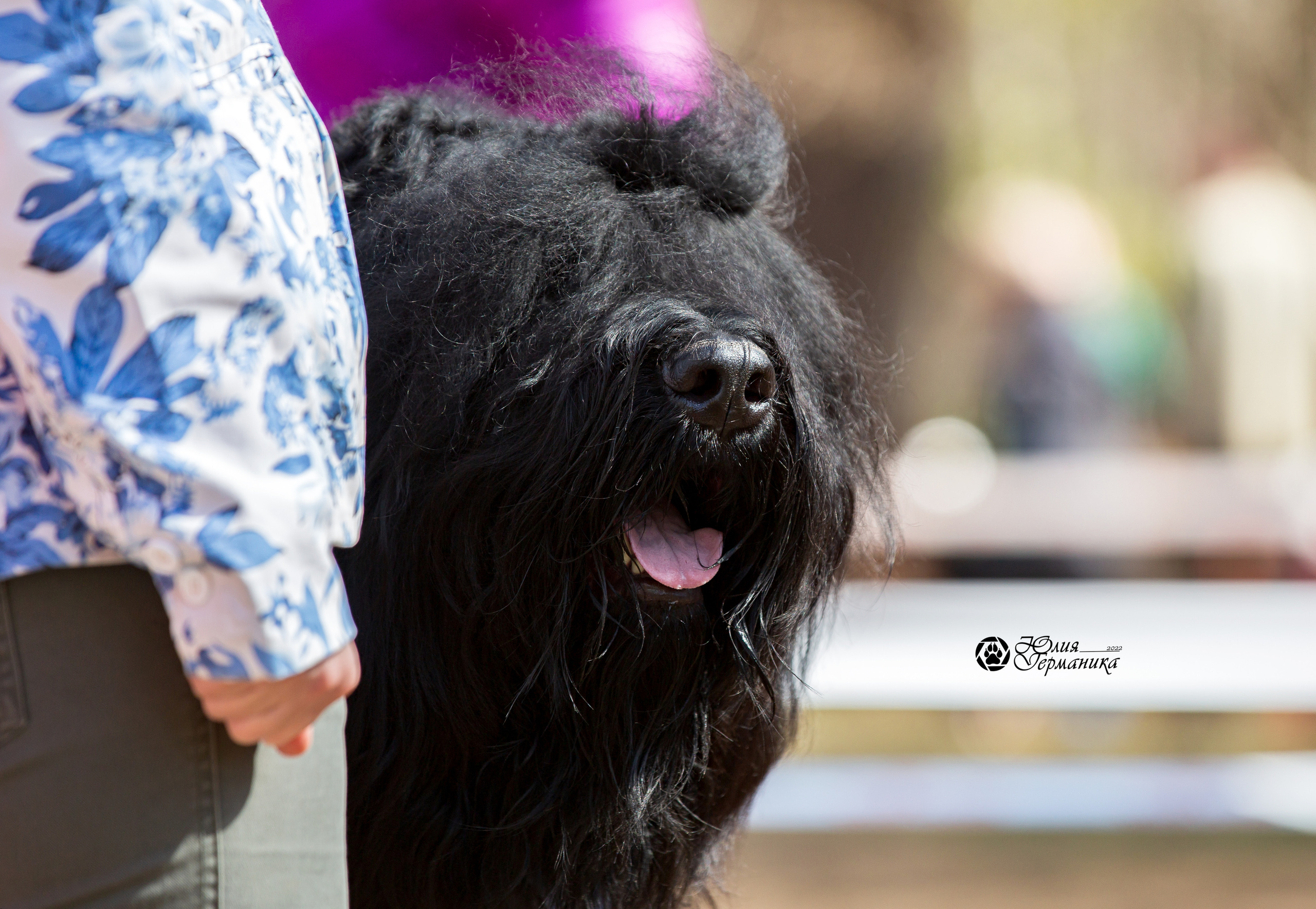 Сокольники 1 мая 2022. Фотограф-анималист Юлия Германика