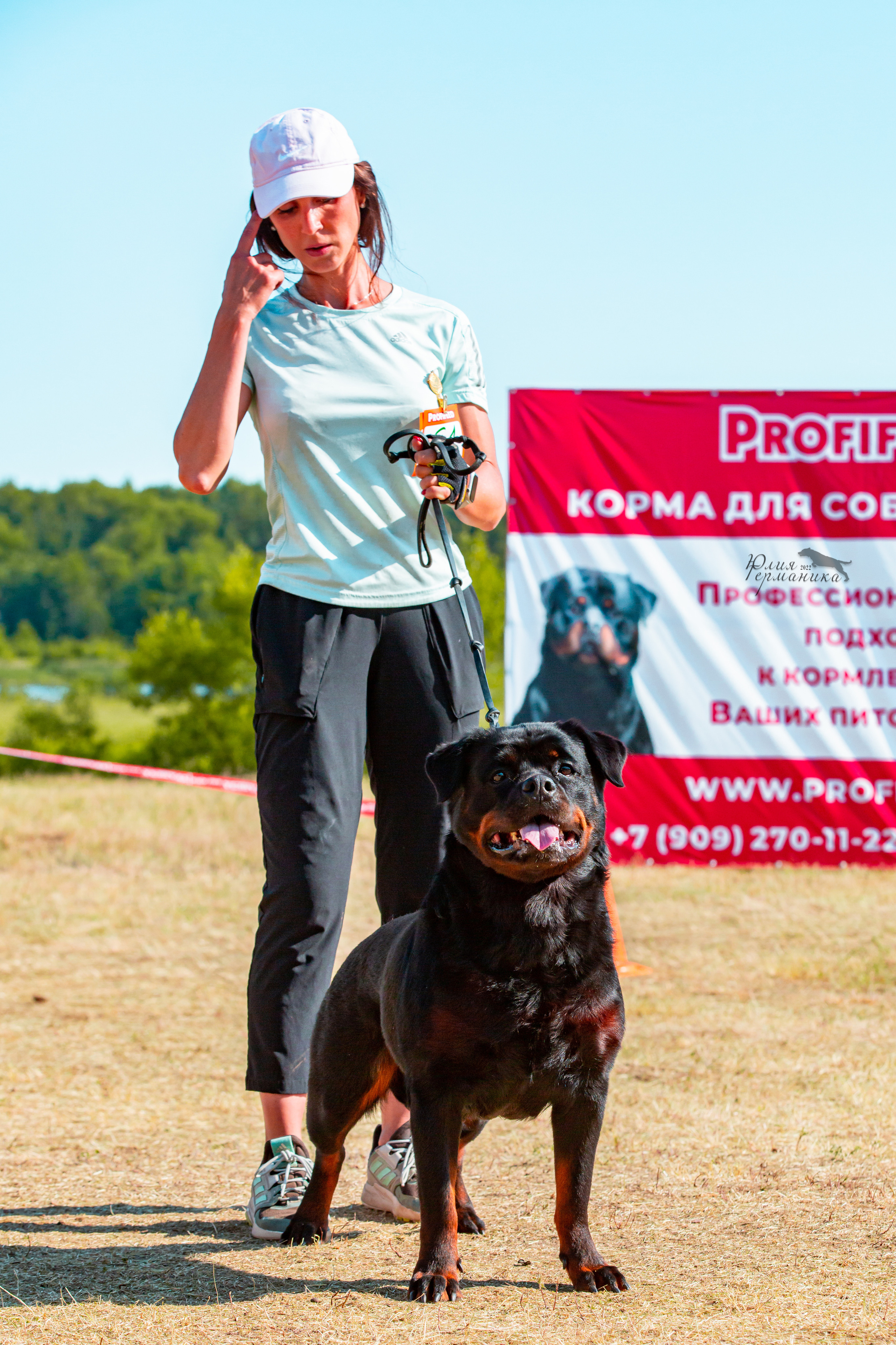 Тверь моно ротвейлеров 2-3.07.2022. Фотограф-анималист Юлия Германика