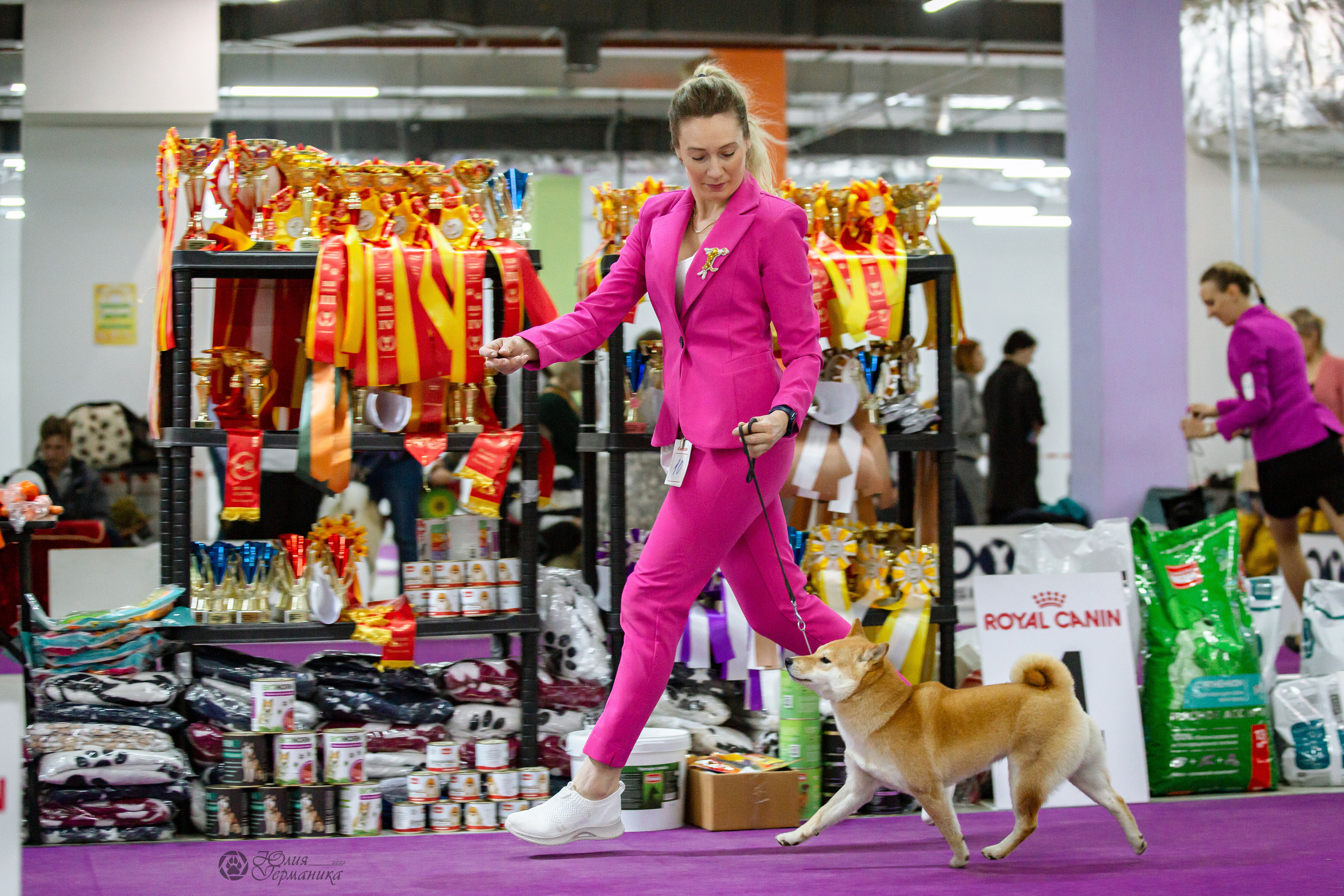 Чайна-Таун 16-17 апреля 2022. Фотограф-анималист Юлия Германика