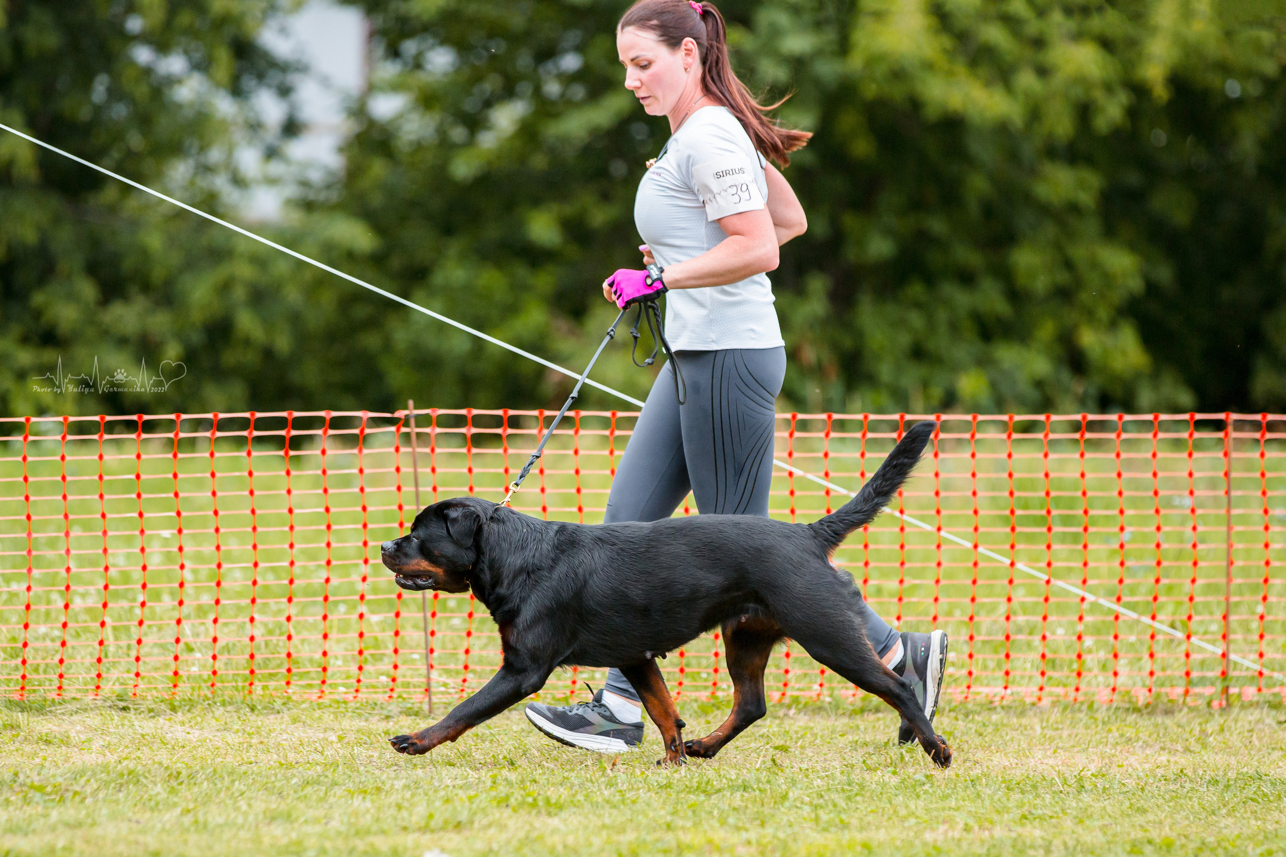 Санкт-Петербург моно ротвейлеров 23.07.2022. Фотограф-анималист Юлия Германика