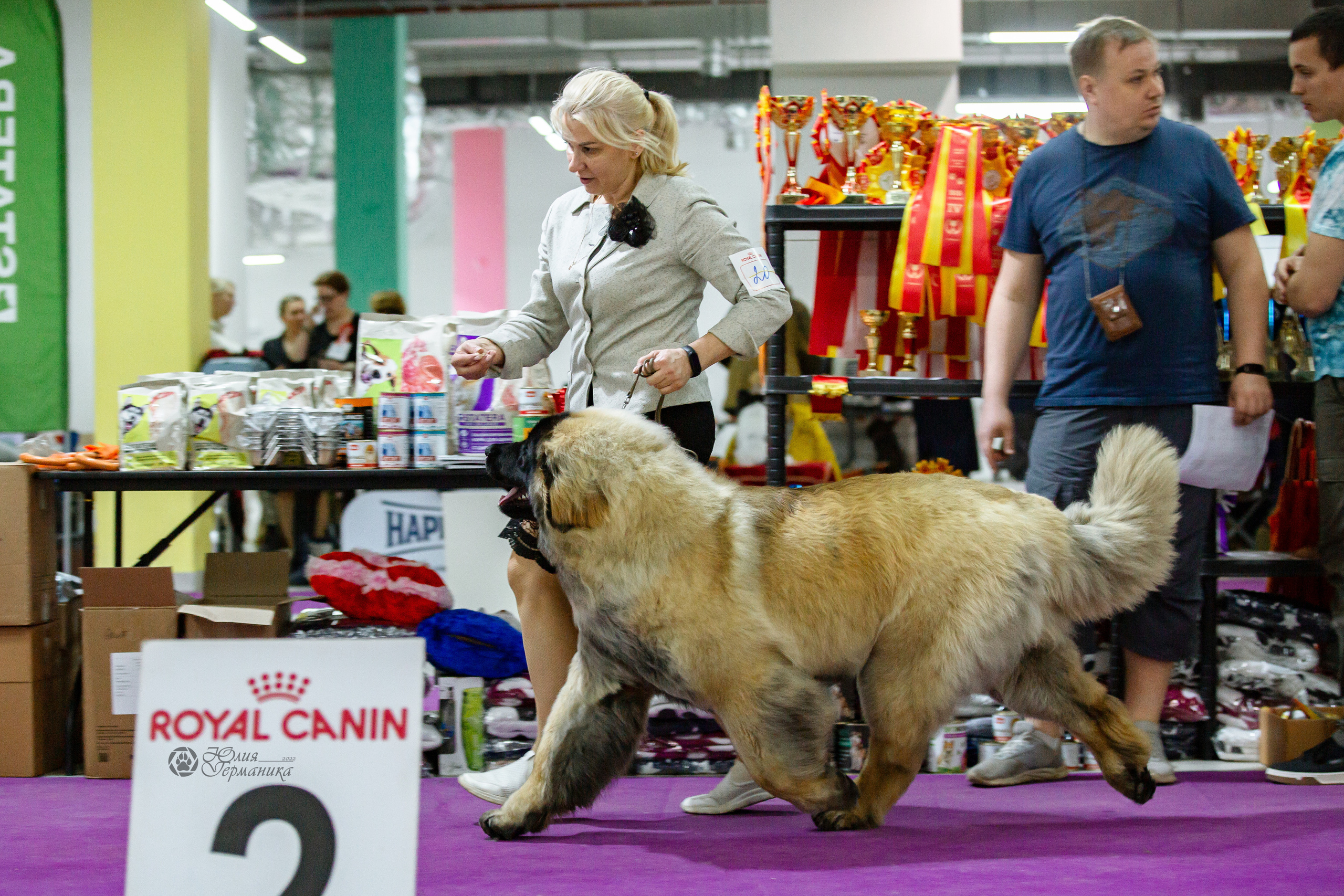 Чайна-Таун 16-17 апреля 2022. Фотограф-анималист Юлия Германика
