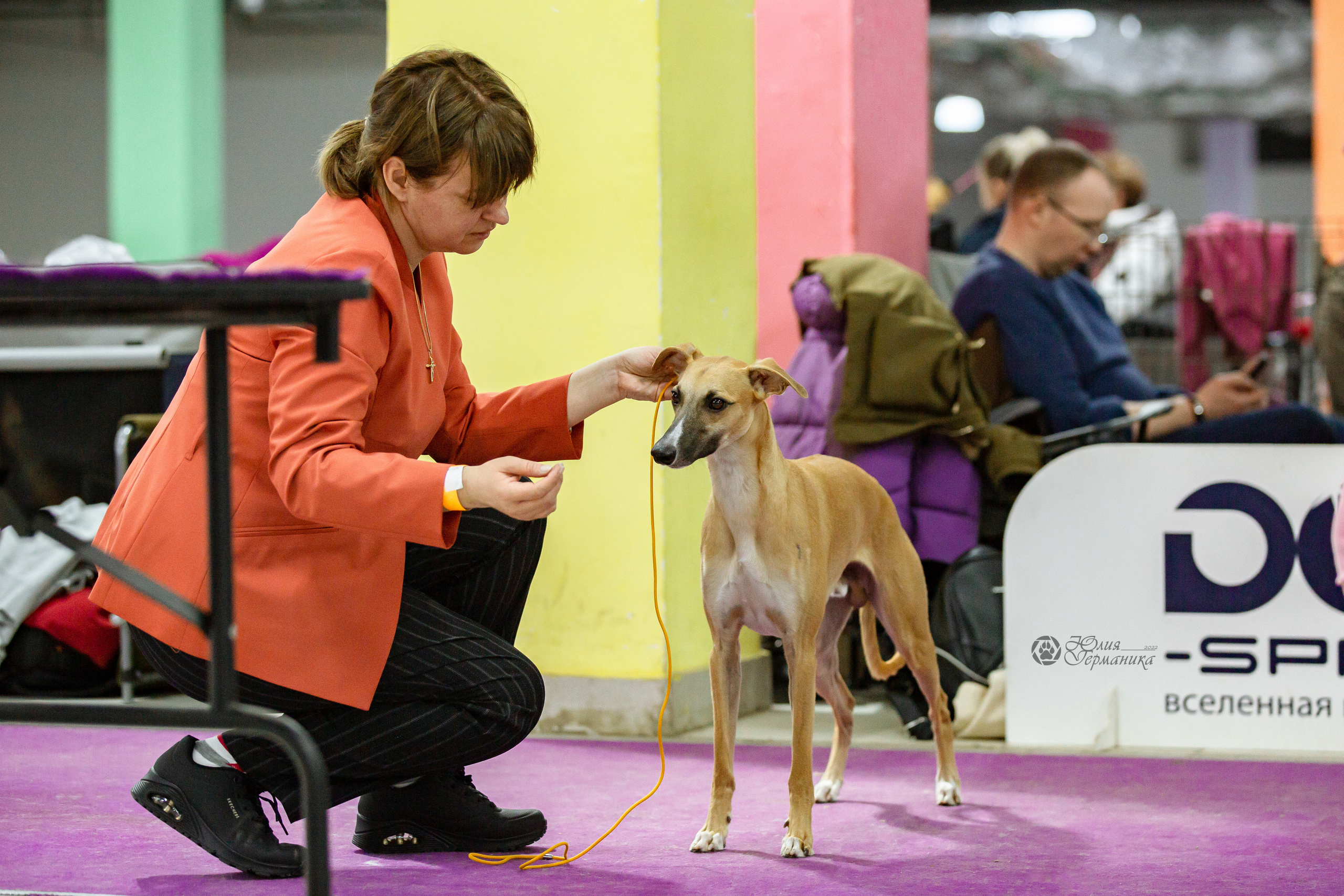 Чайна-Таун 16-17 апреля 2022. Фотограф-анималист Юлия Германика