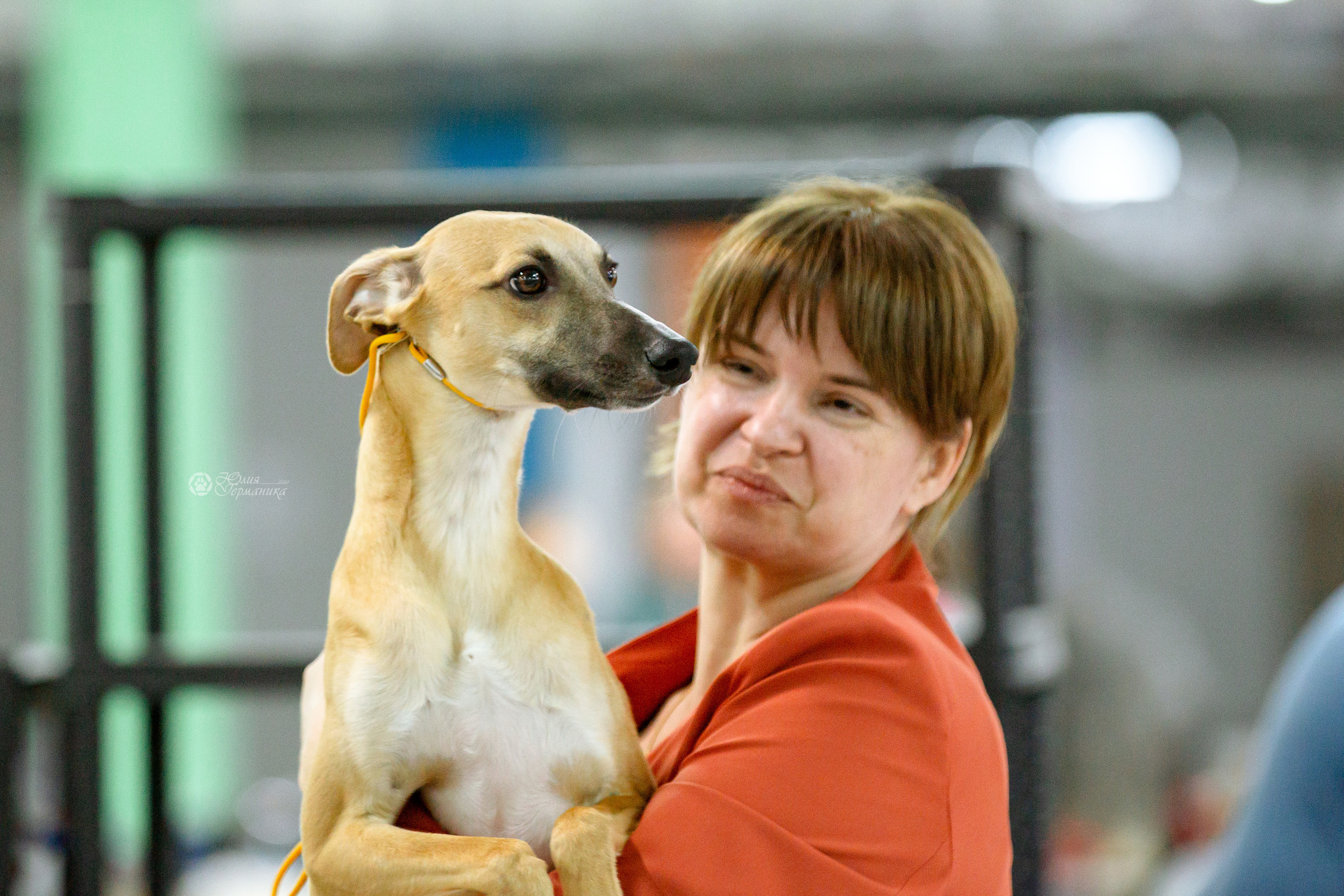 Чайна-Таун 16-17 апреля 2022. Фотограф-анималист Юлия Германика