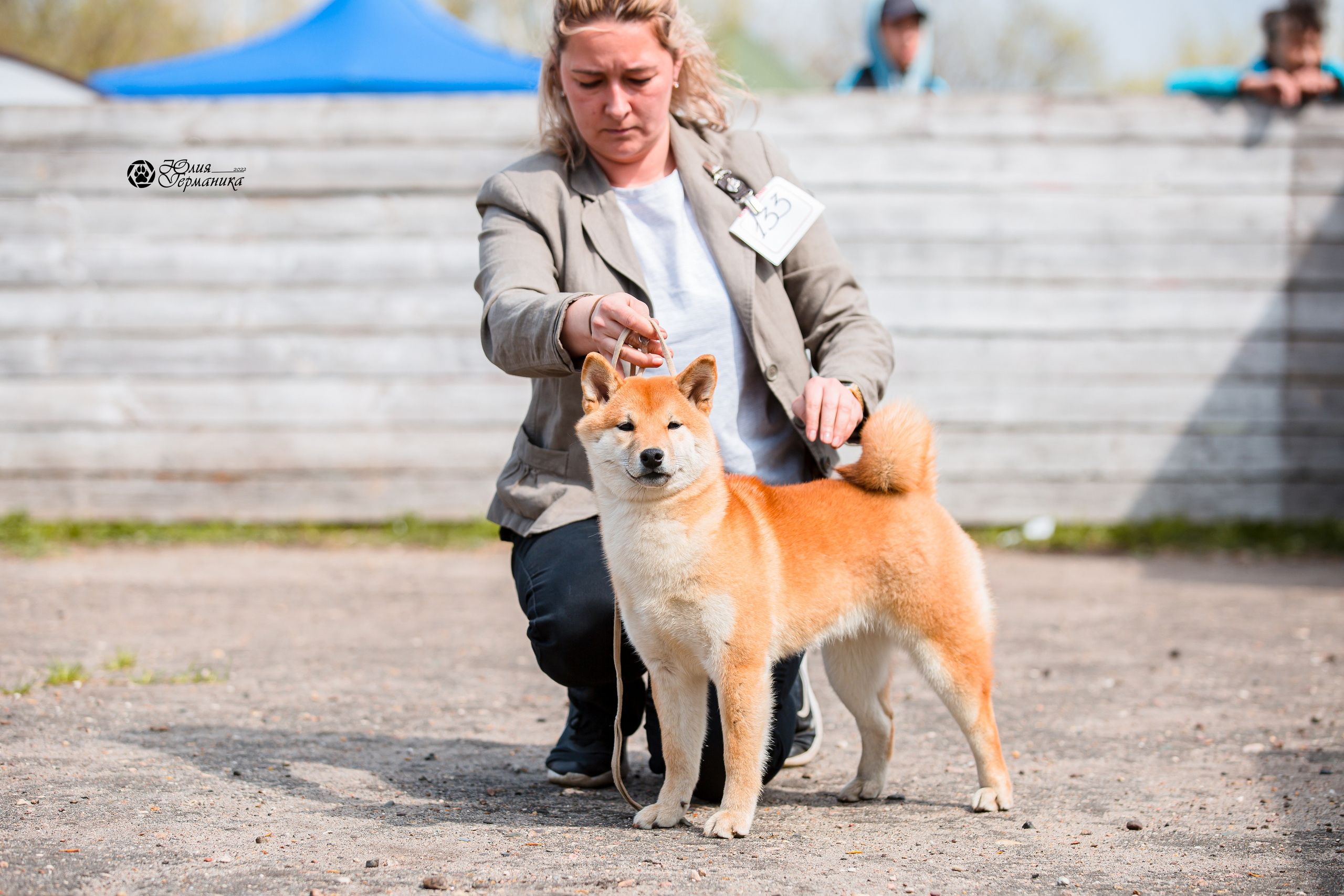 Александров 2хСАС 8 мая 2022. Фотограф-анималист Юлия Германика
