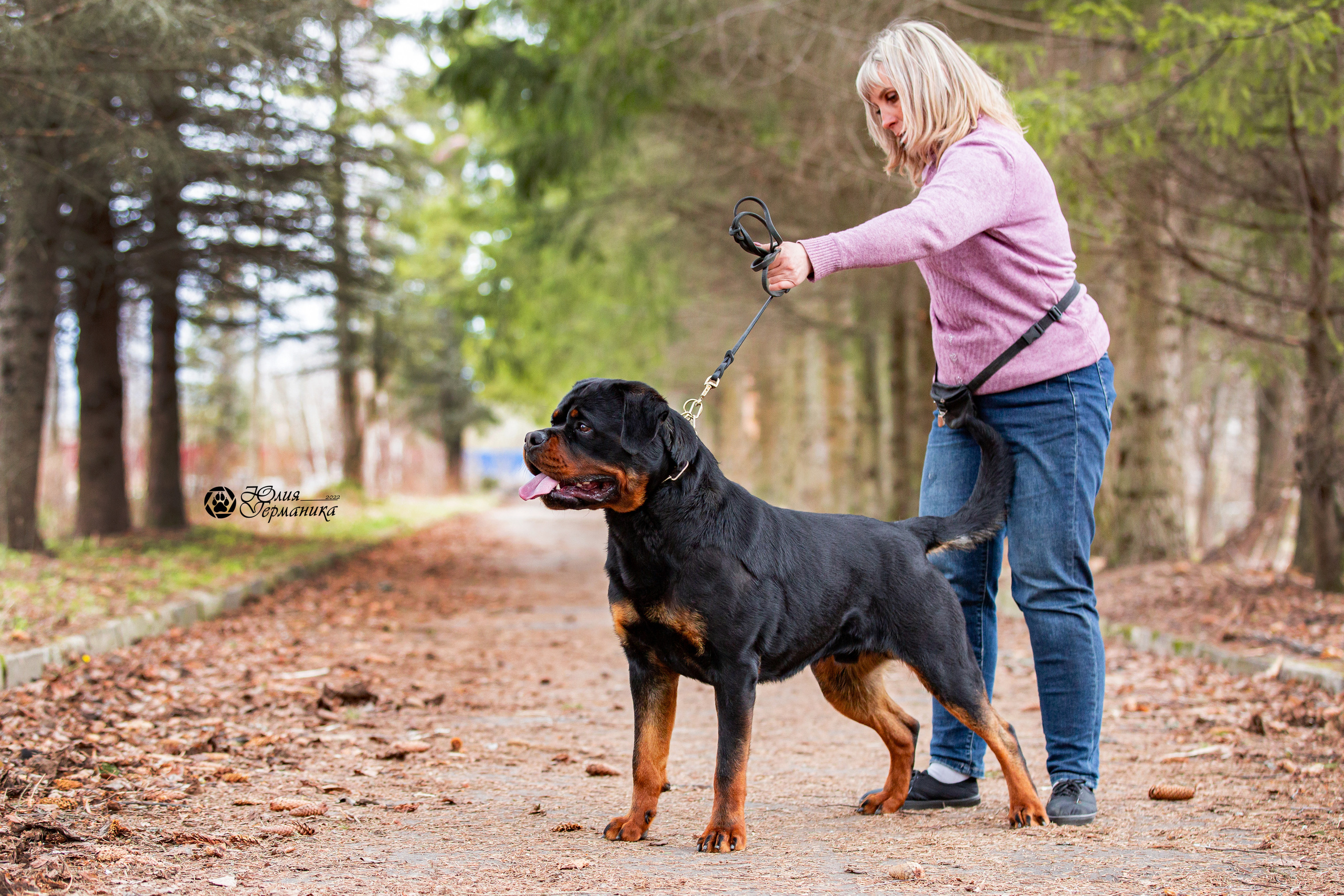 Свободная съемка. Фотограф-анималист Юлия Германика
