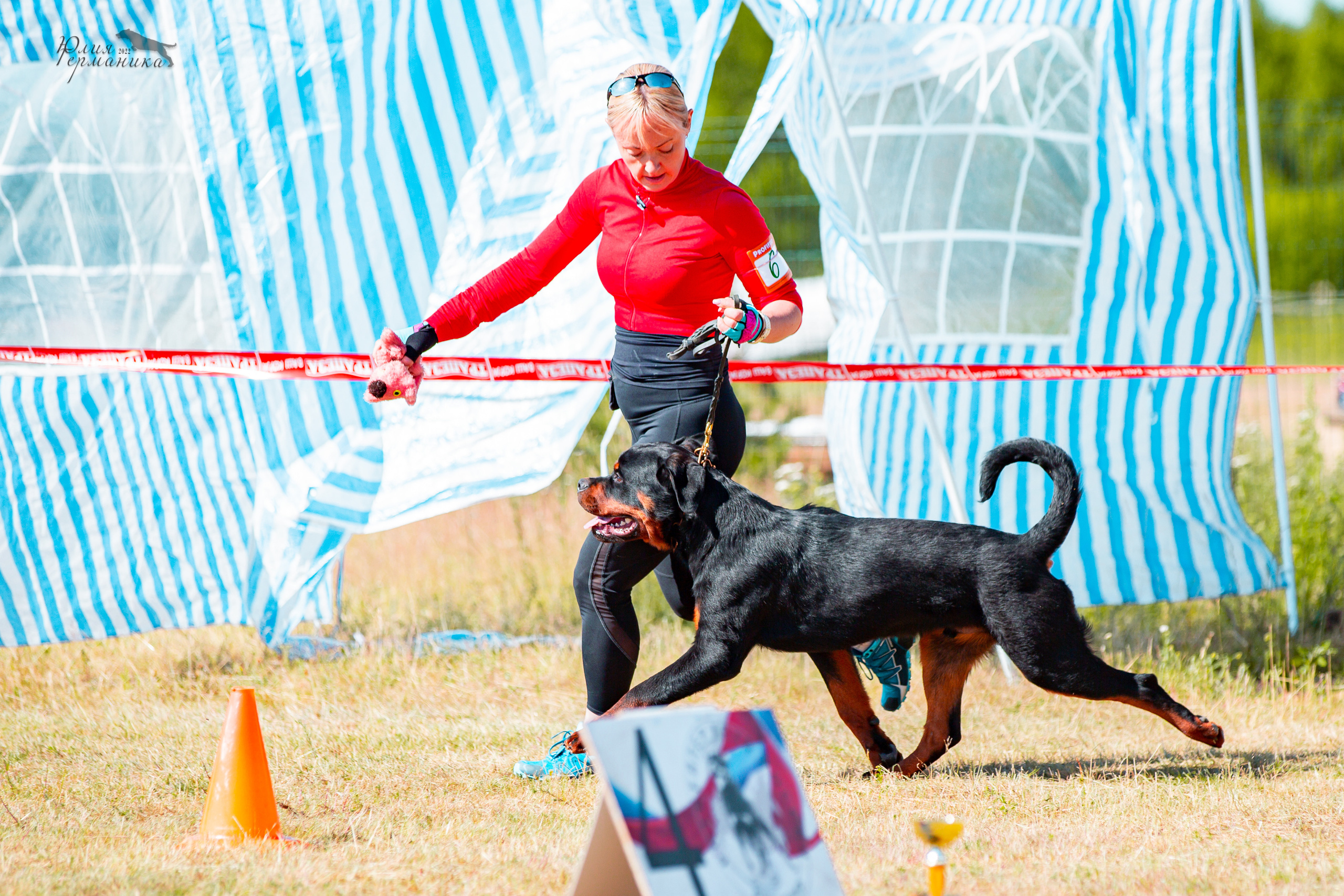 Тверь моно ротвейлеров 2-3.07.2022. Фотограф-анималист Юлия Германика