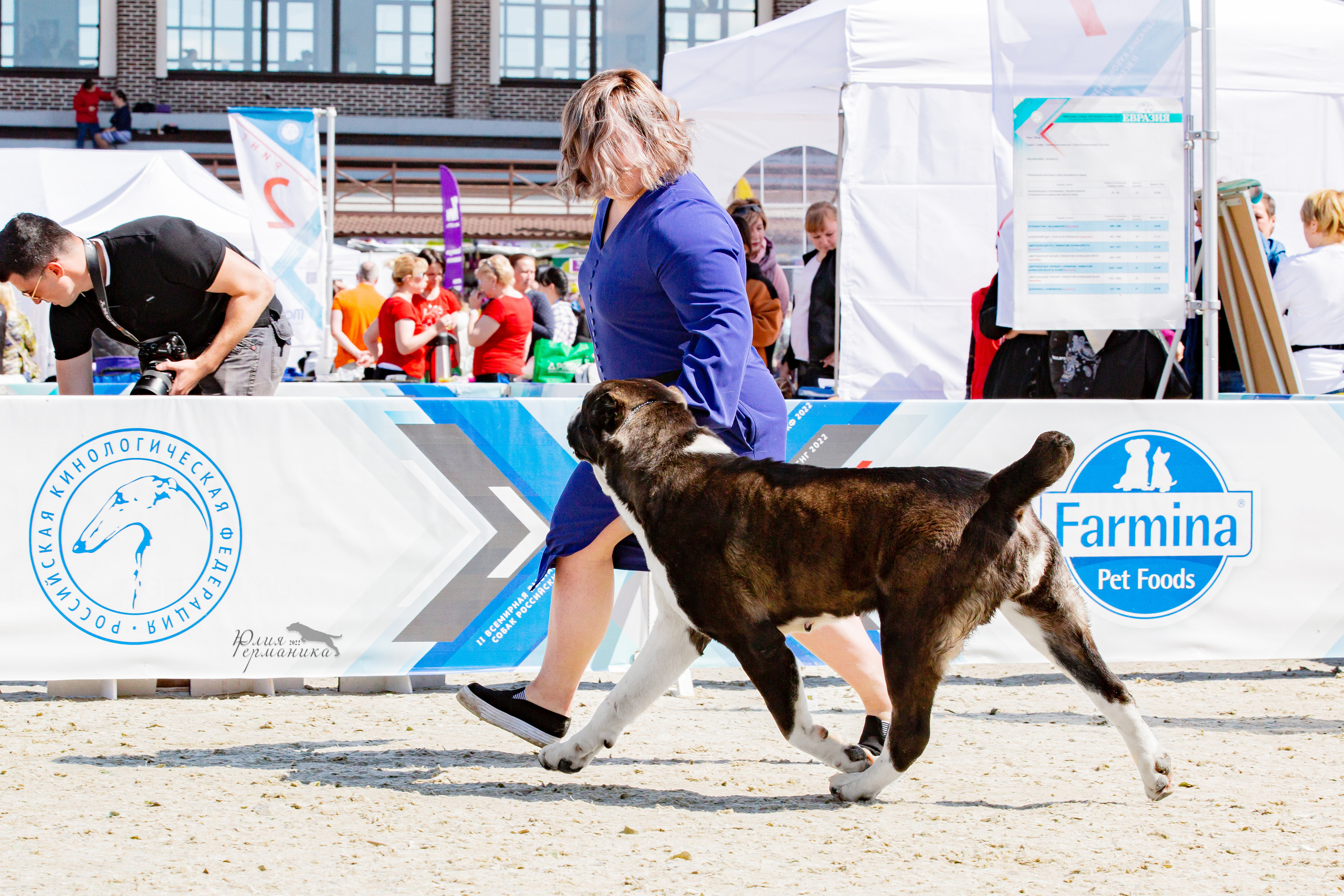 Евразия 21-22 мая 2022. Фотограф-анималист Юлия Германика