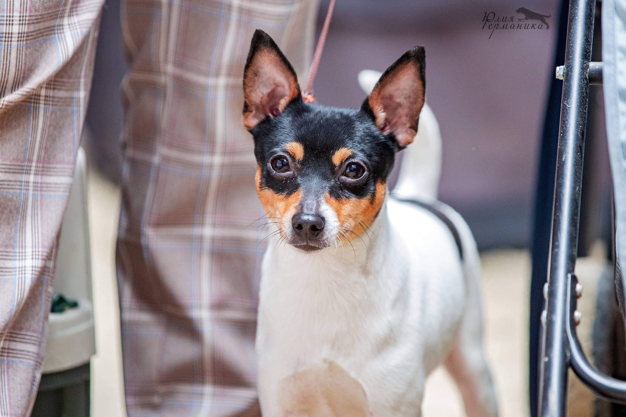 Евразия 21-22 мая 2022. Фотограф-анималист Юлия Германика