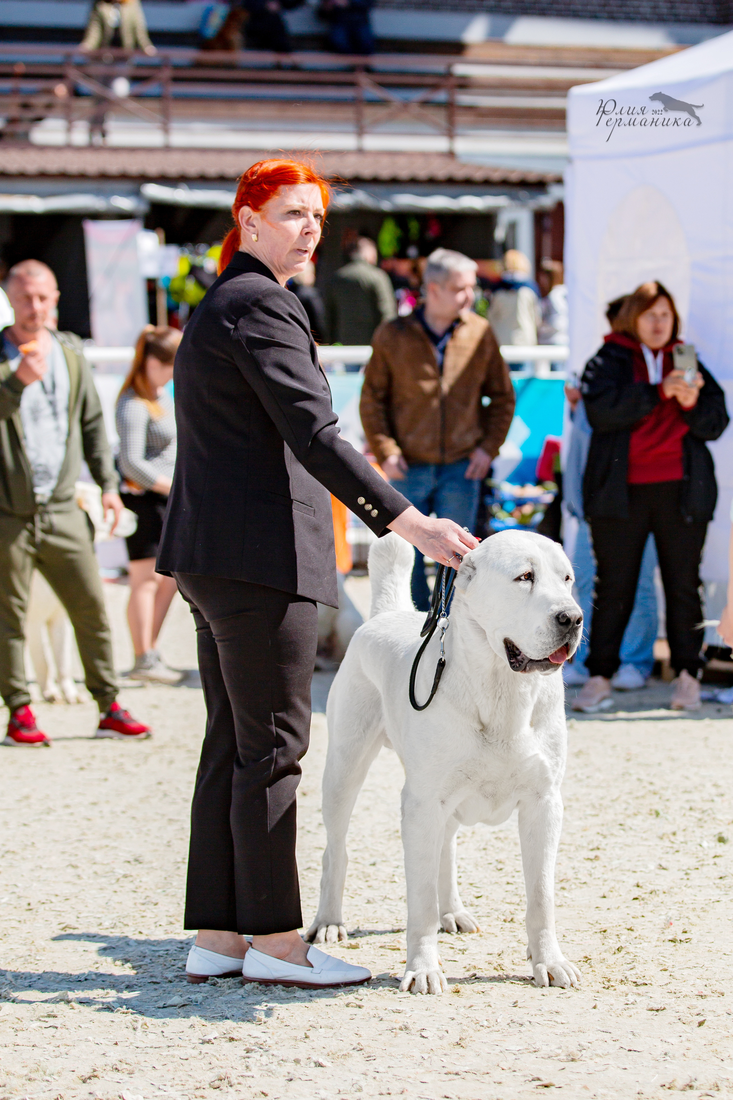 Евразия 21-22 мая 2022. Фотограф-анималист Юлия Германика