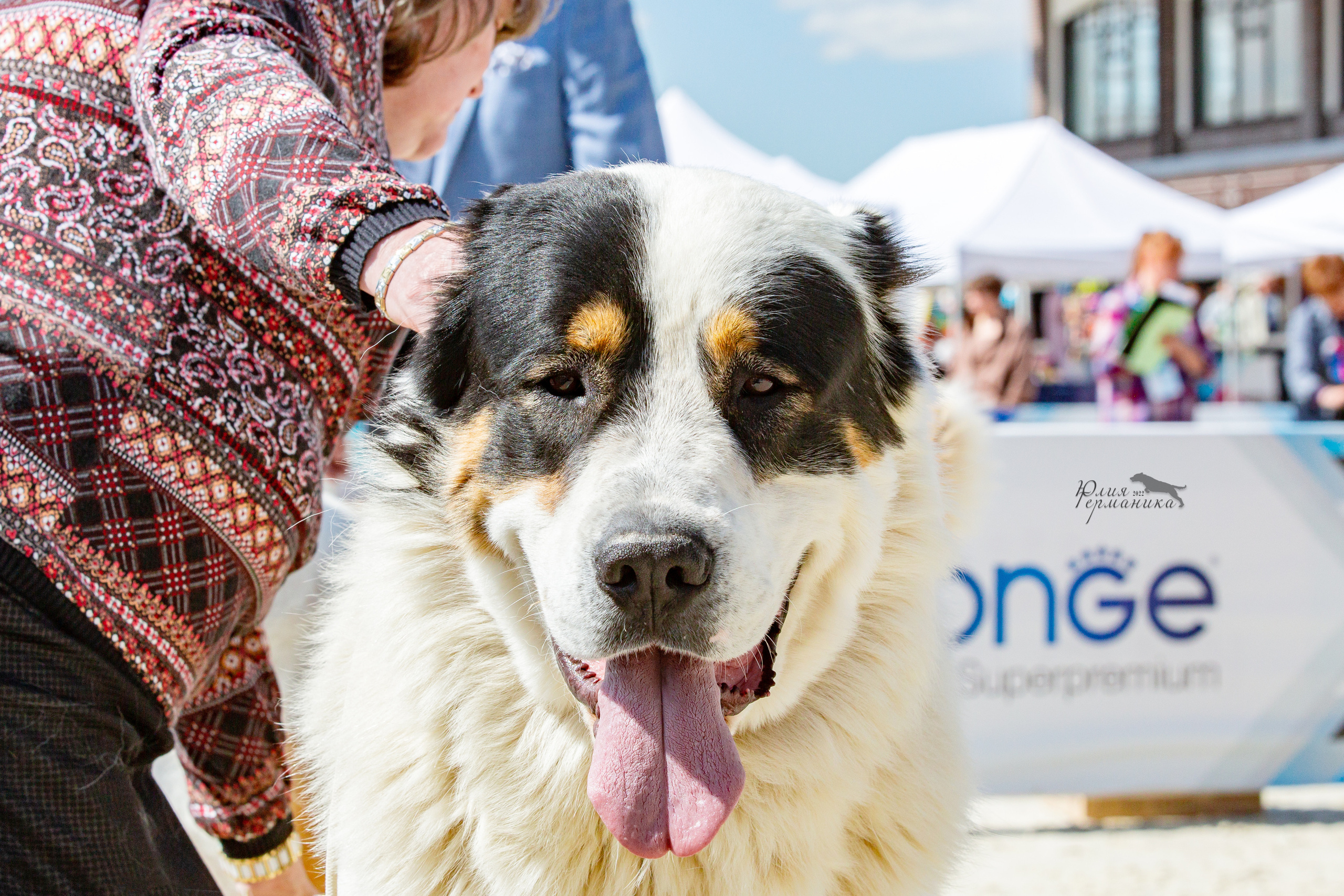 Евразия 21-22 мая 2022. Фотограф-анималист Юлия Германика