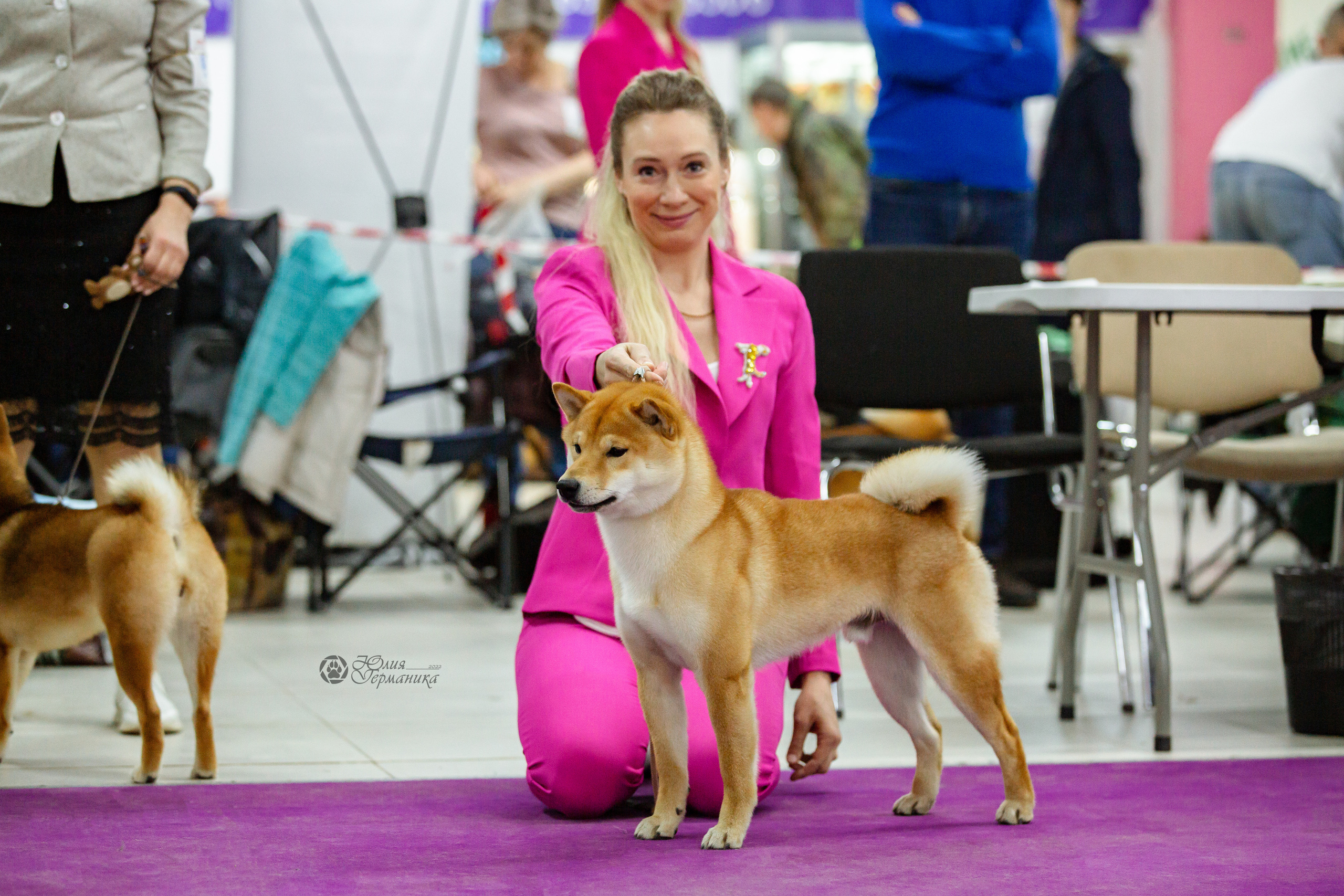 Чайна-Таун 16-17 апреля 2022. Фотограф-анималист Юлия Германика