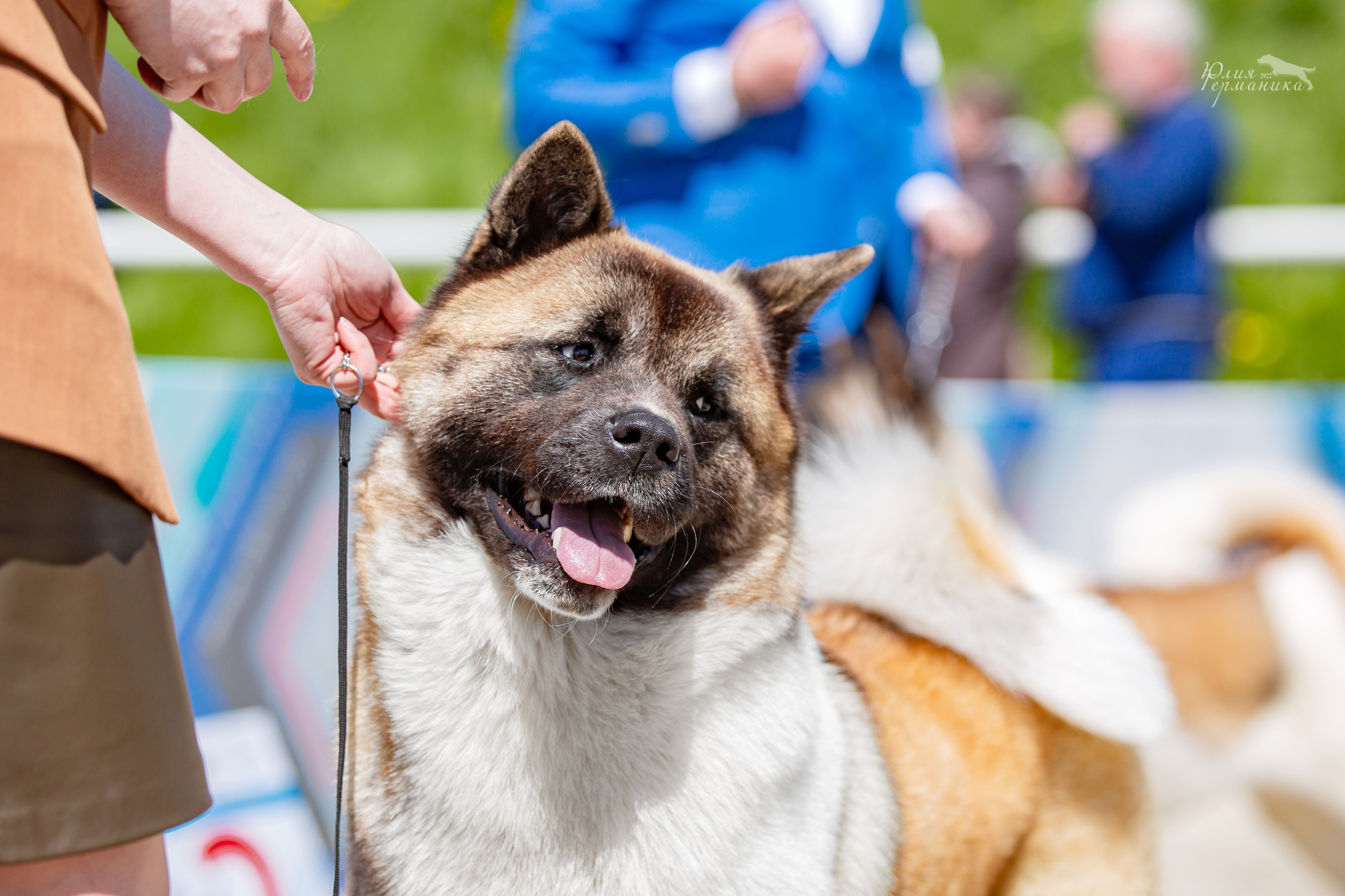Евразия 21-22 мая 2022. Фотограф-анималист Юлия Германика
