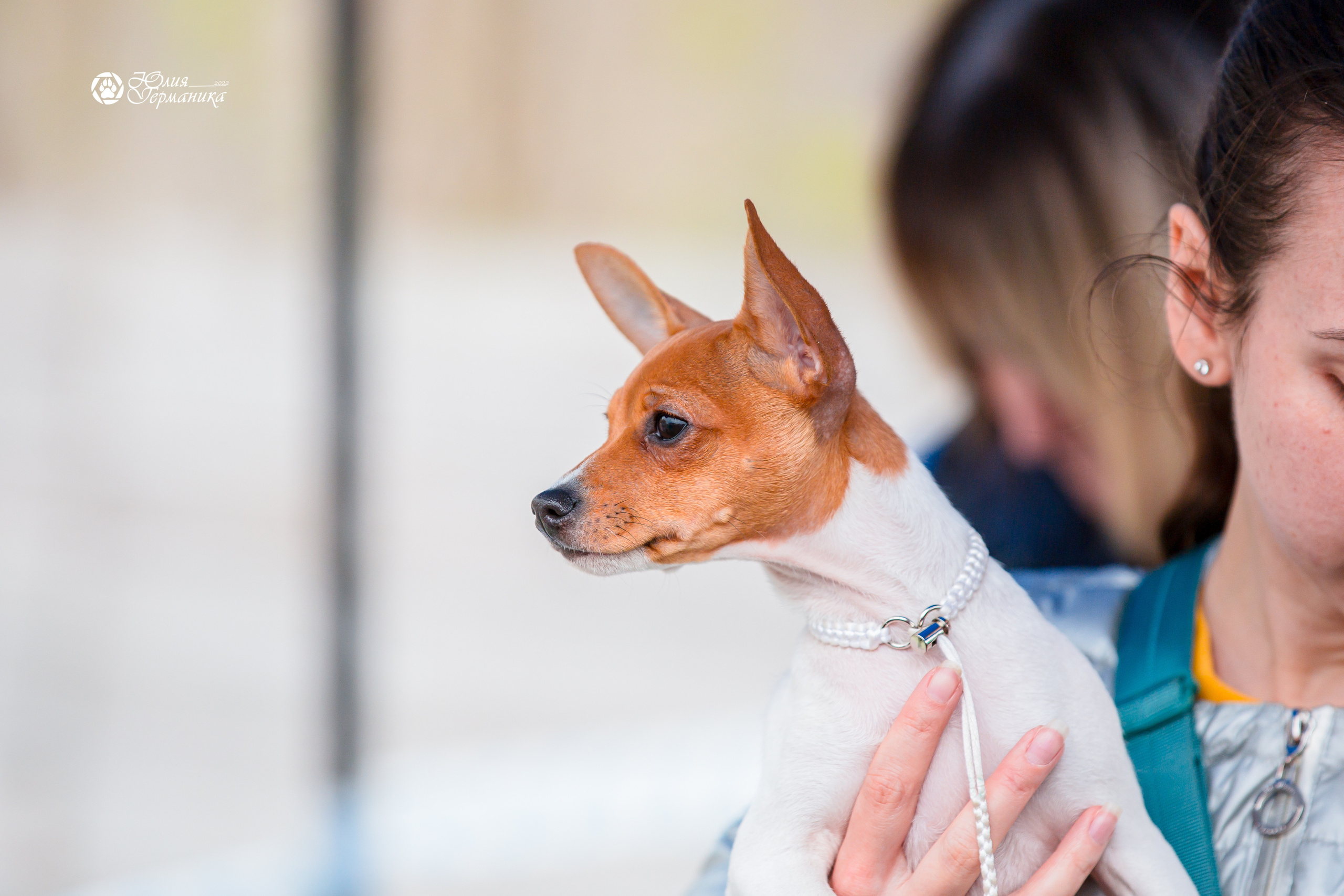 Александров 2хСАС 8 мая 2022. Фотограф-анималист Юлия Германика