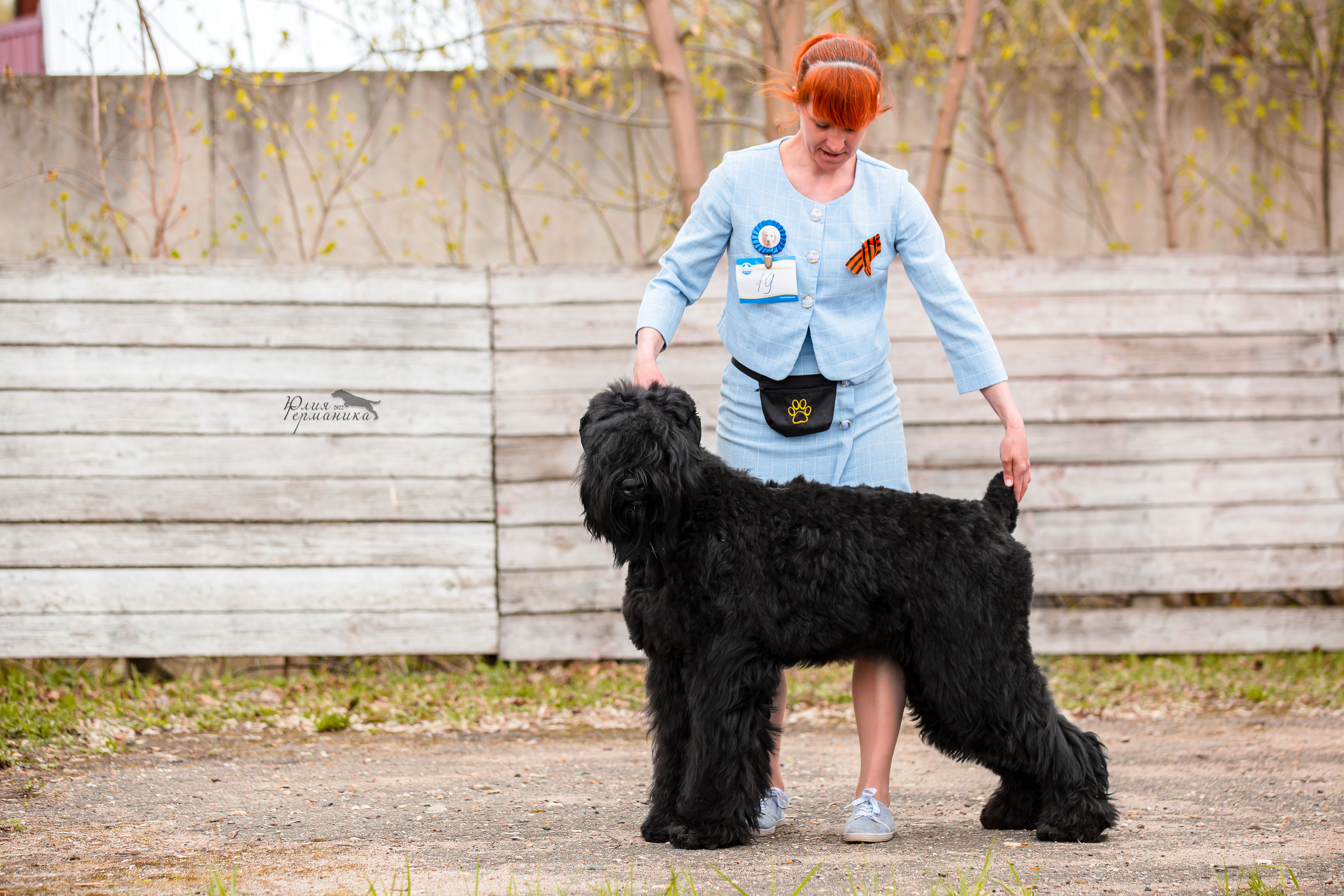 Александров 2хСАС 8 мая 2022. Фотограф-анималист Юлия Германика